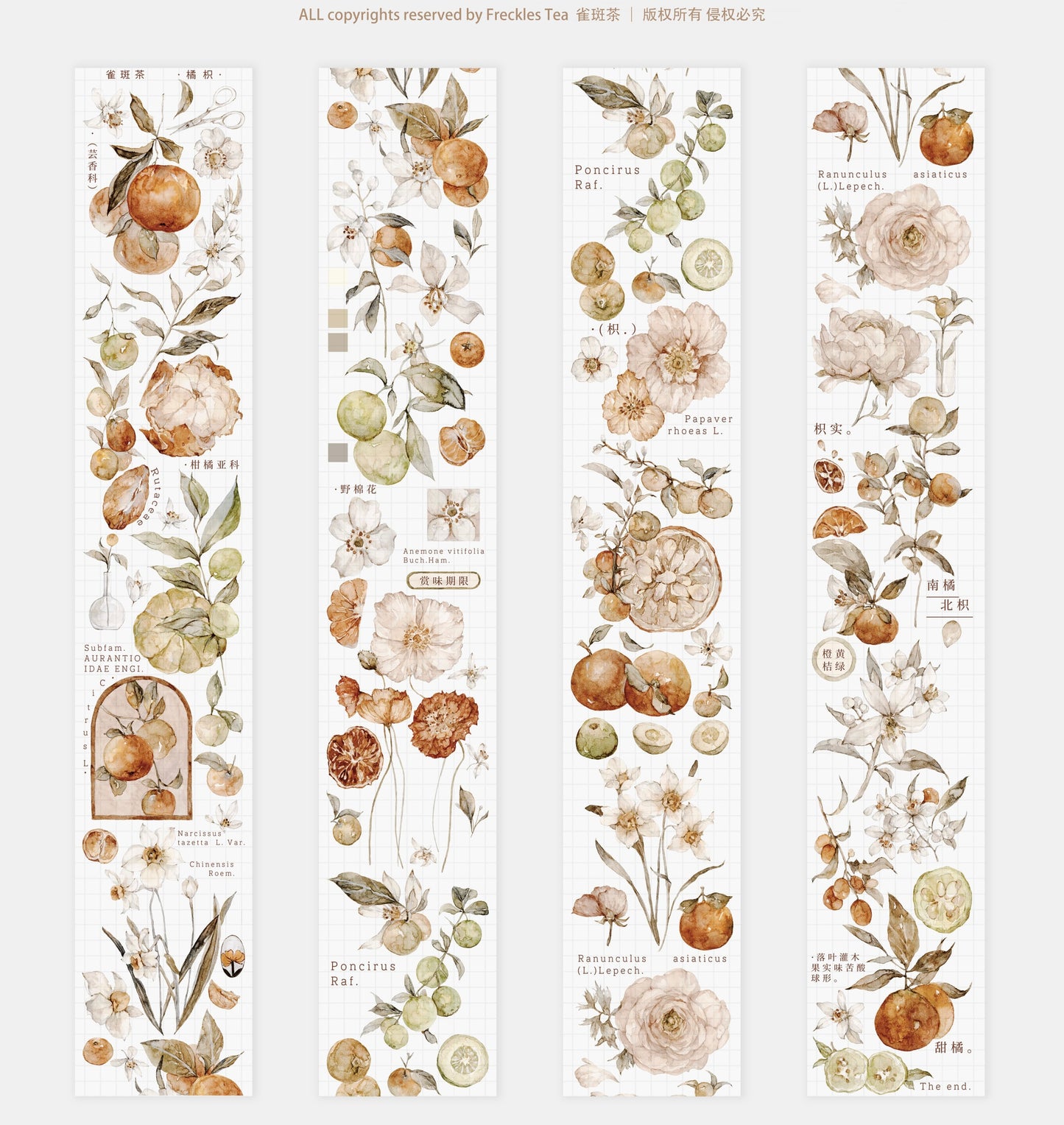 NEW Freckles Tea Vol.3 - WASHI PAPER Tape | Release Paper