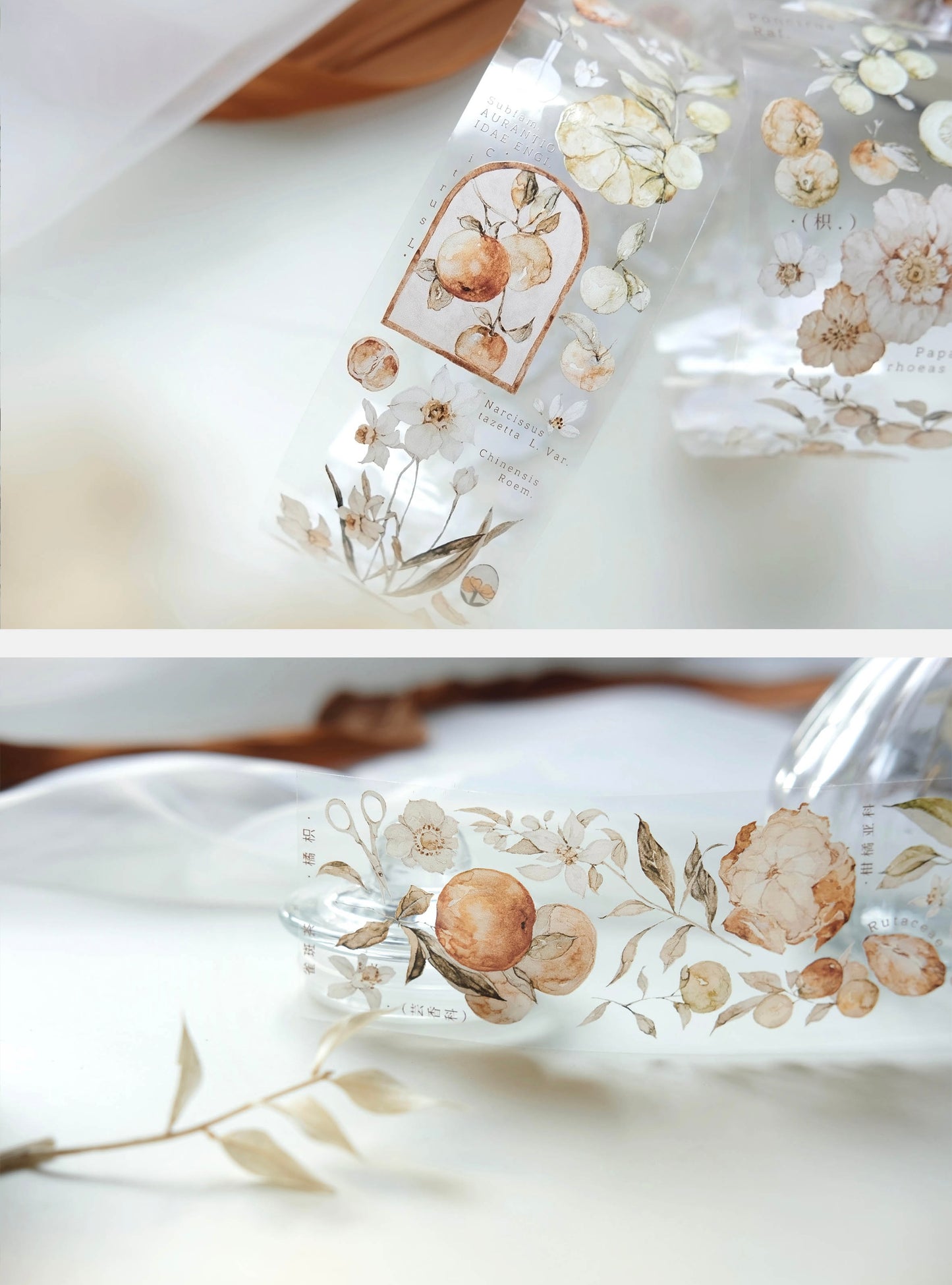 NEW Freckles Tea Vol.3 - GLOSSY PET Tape | Release Paper