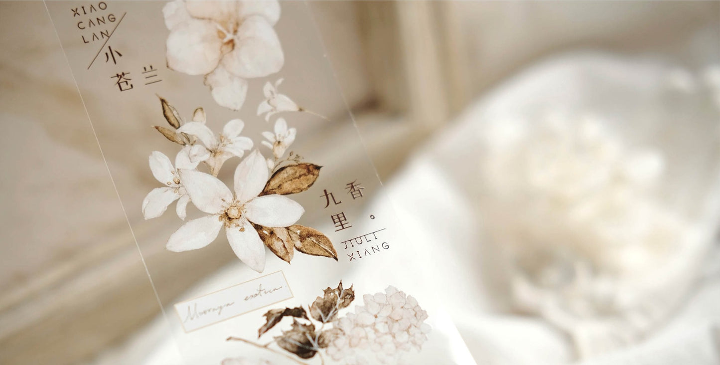 Freckles Tea Vol.3 - MATTE PET Tape | Release Paper | 6 Rolls Whole Set