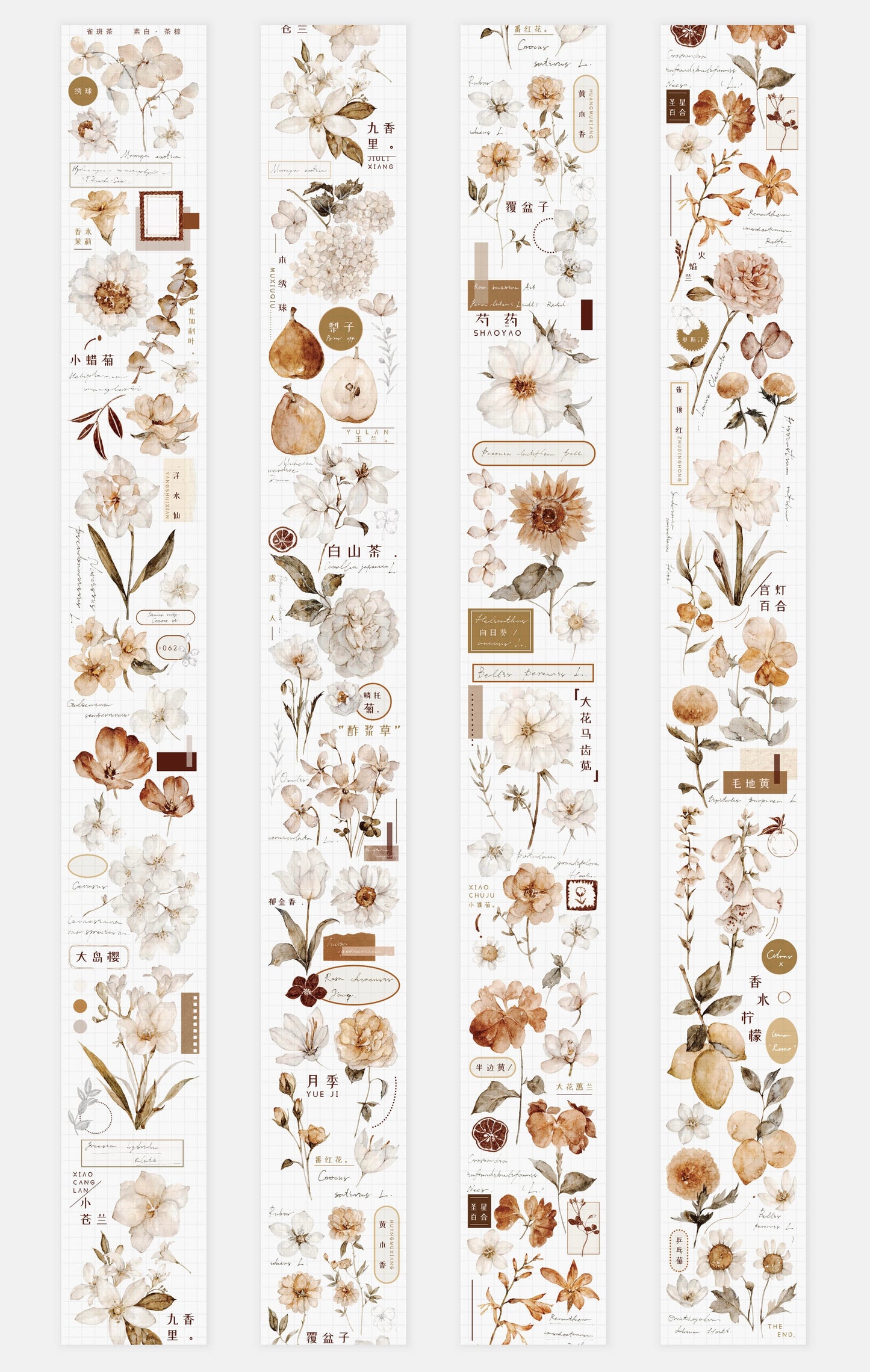 NEW Freckles Tea Vol.3 - WASHI PAPER Tape | Release Paper