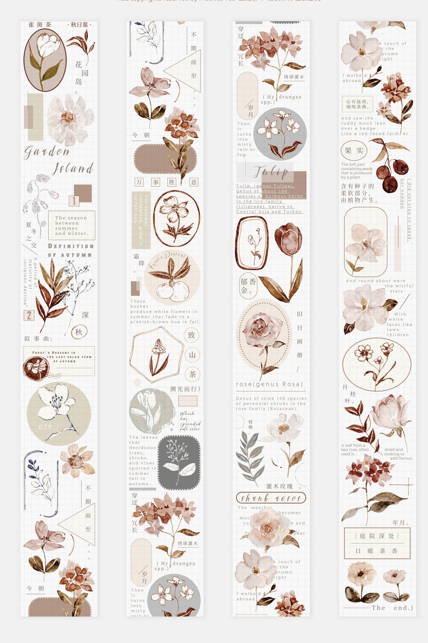 NEW Freckles Tea Vol.3 - WASHI PAPER Tape | Release Paper