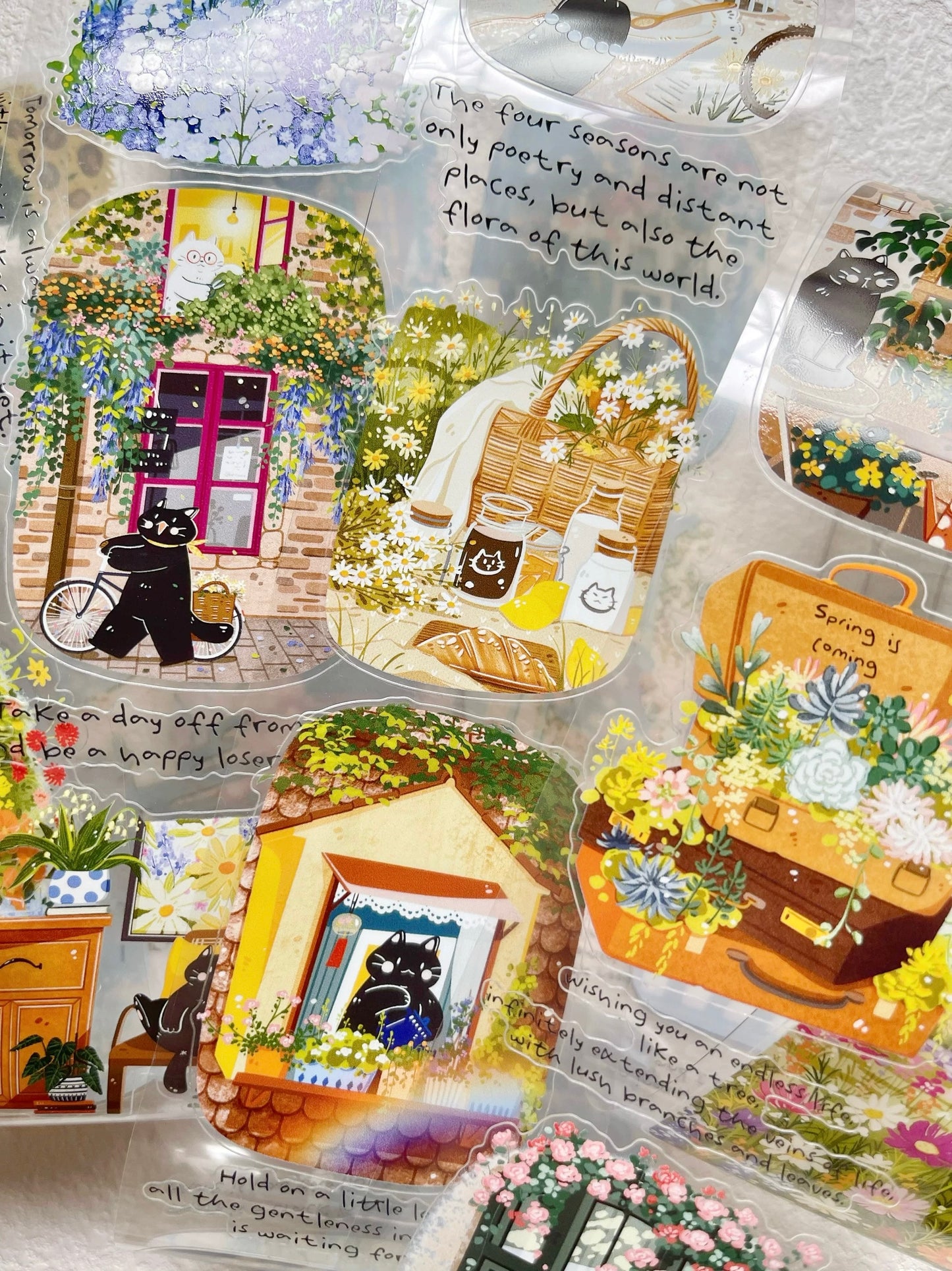 Xiami Studio - Spring Blossom Field | Kiss-cut | 6cm Glossy PET Tape | Release Paper | 5M