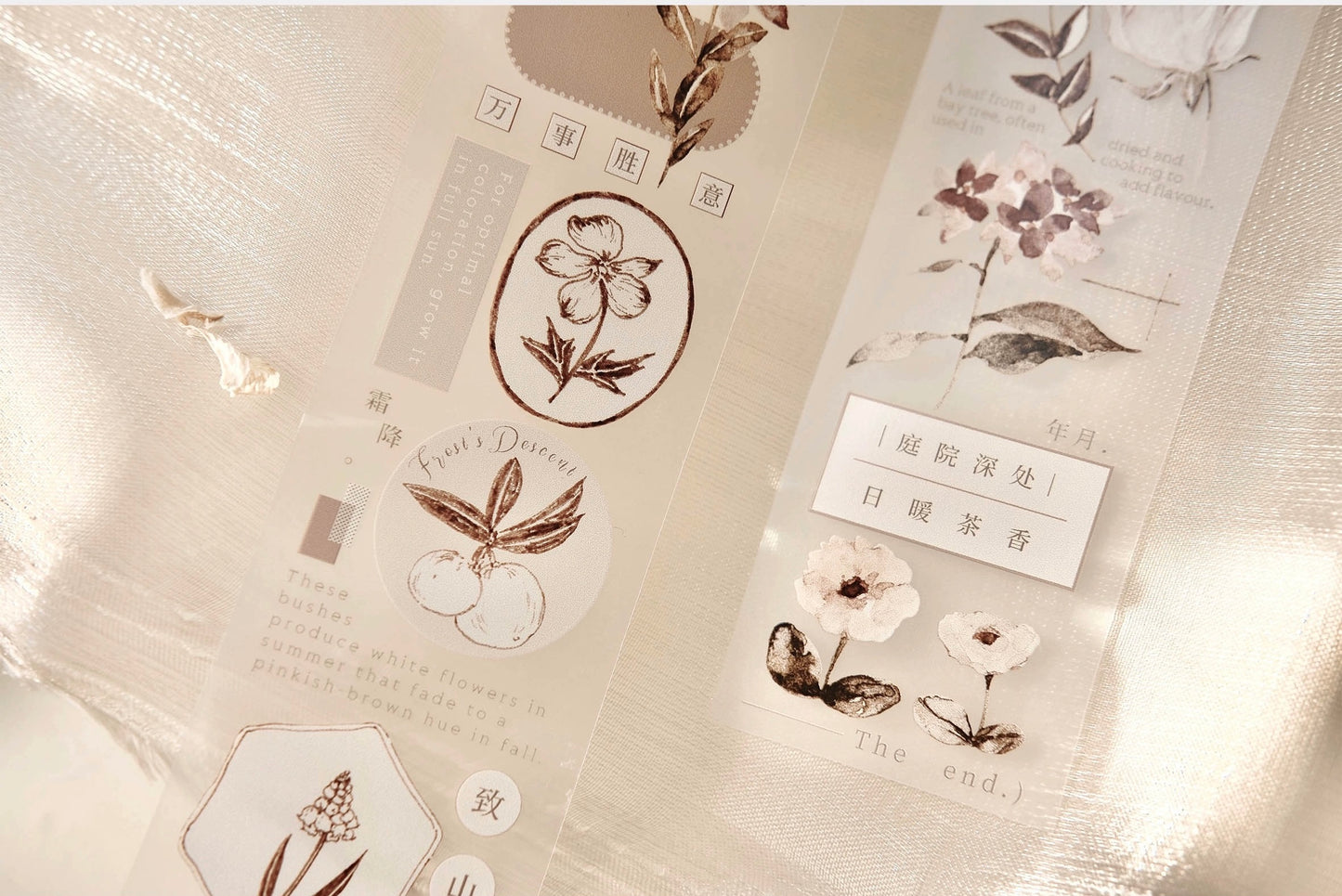 Freckles Tea Vol.3 - Autumn Leaves PET Tape | Release Paper