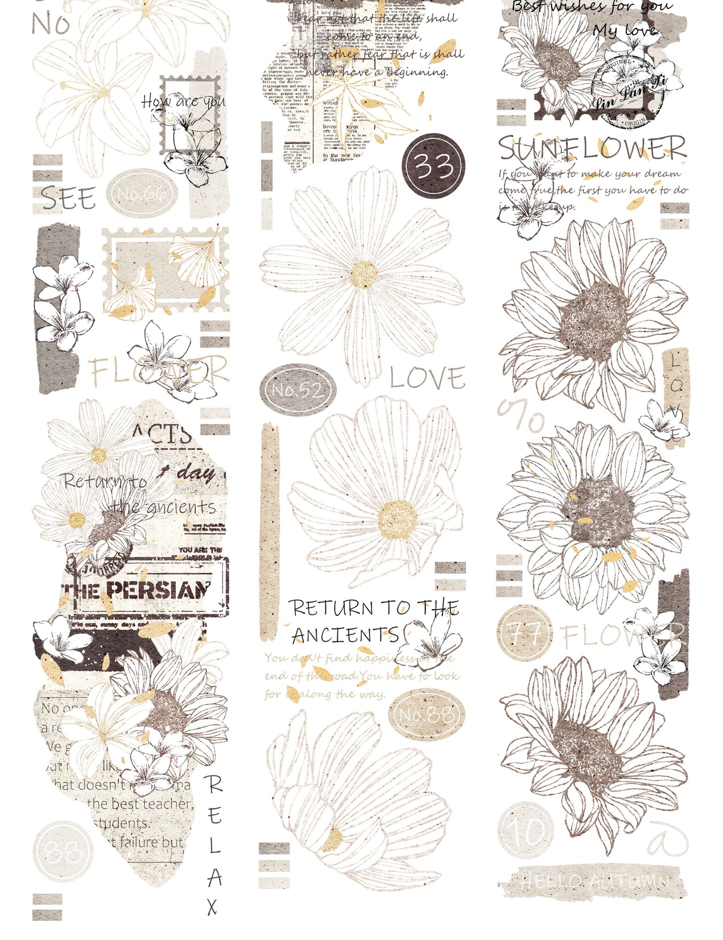 LLX - Sunflower | 5cm PET Tape | Release Paper | 5M