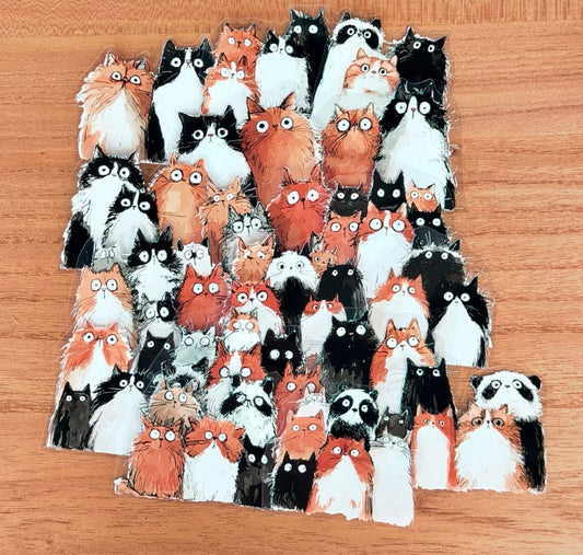 NEW! Neverland - Stunned Cat | 5.5cm PET Tape | Release Paper | 10M