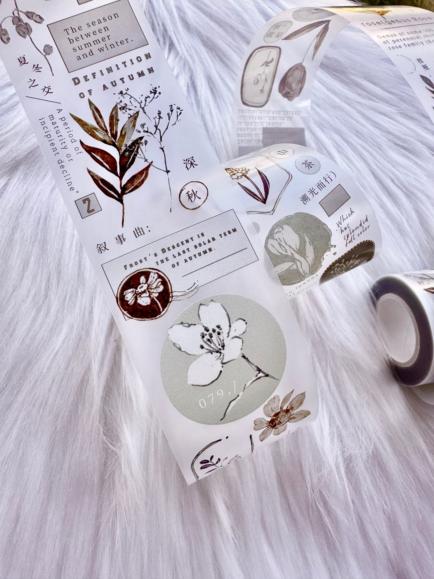 Freckles Tea Vol.3 - Autumn Leaves PET Tape | Release Paper