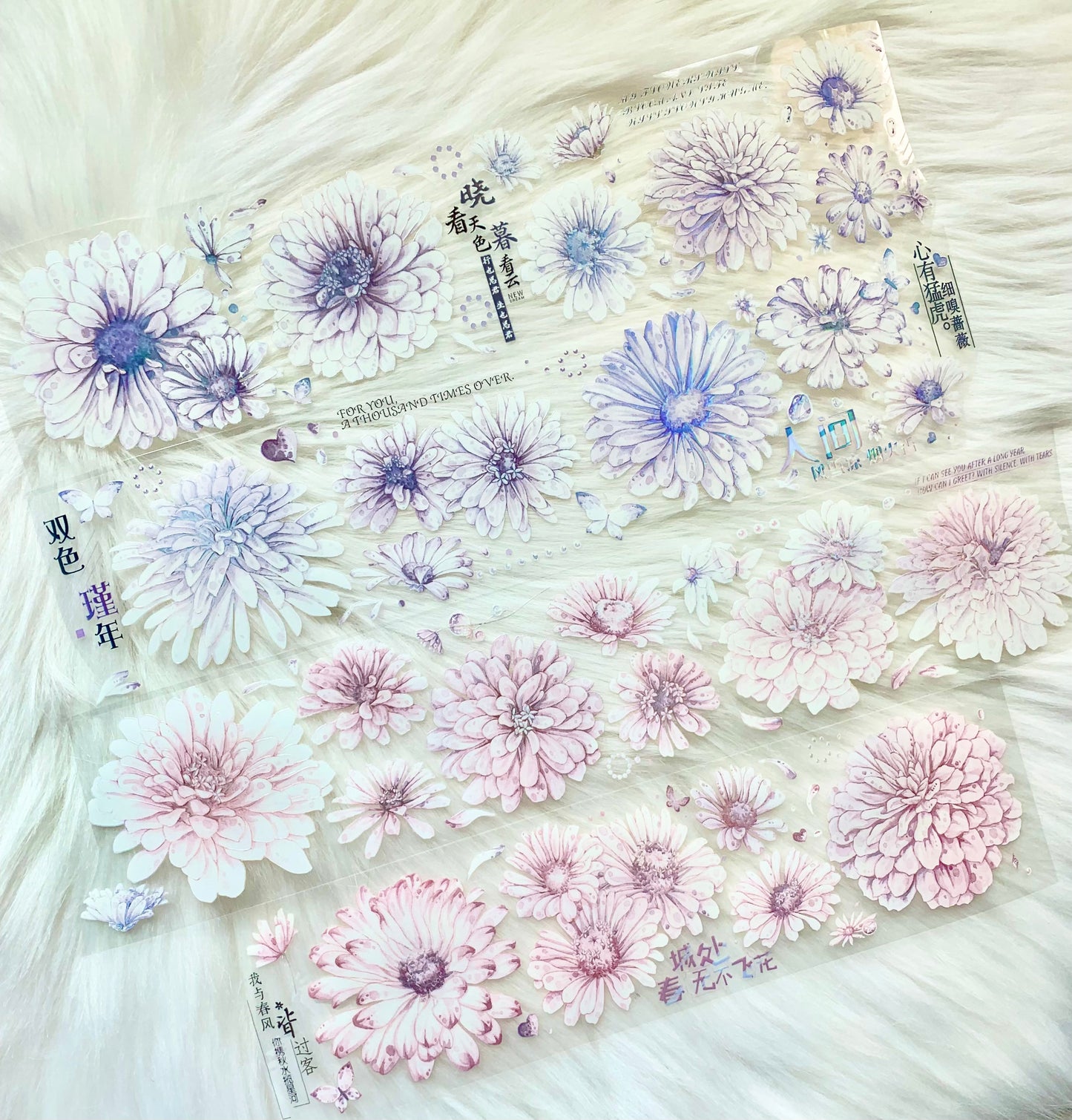 YYR - Hibiscus | 6cm Iridescent PET Tape | Release Paper