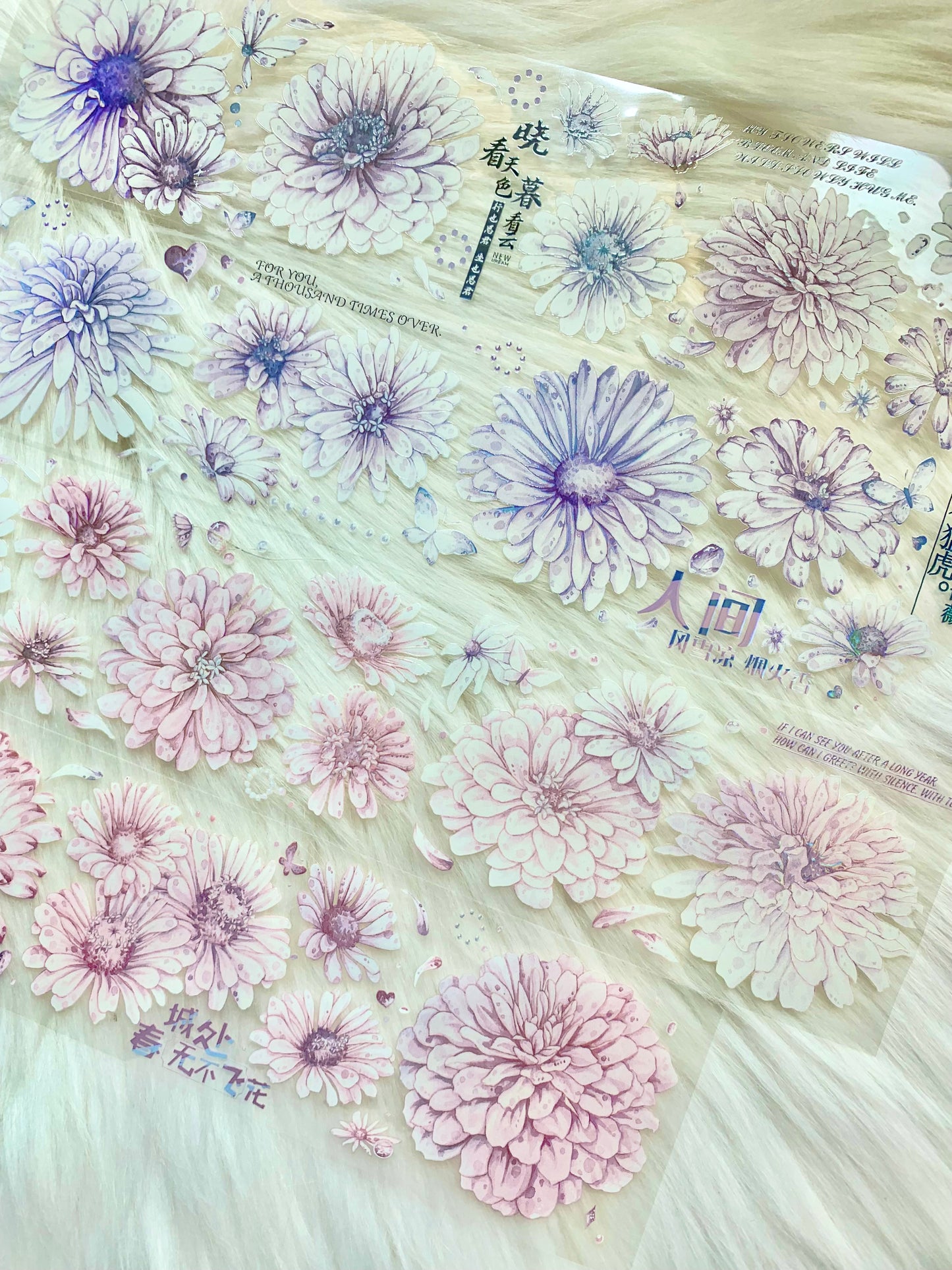 YYR - Hibiscus | 6cm Iridescent PET Tape | Release Paper