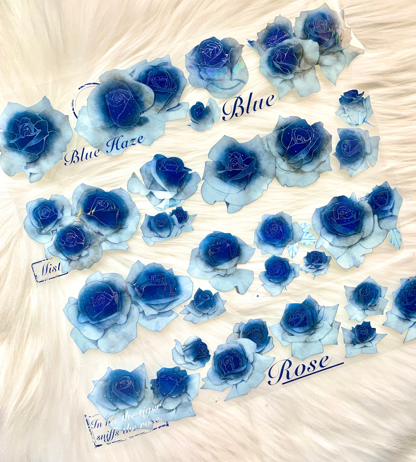 YYR - Blue Rose | 6cm Iridescent PET Tape | Release Paper