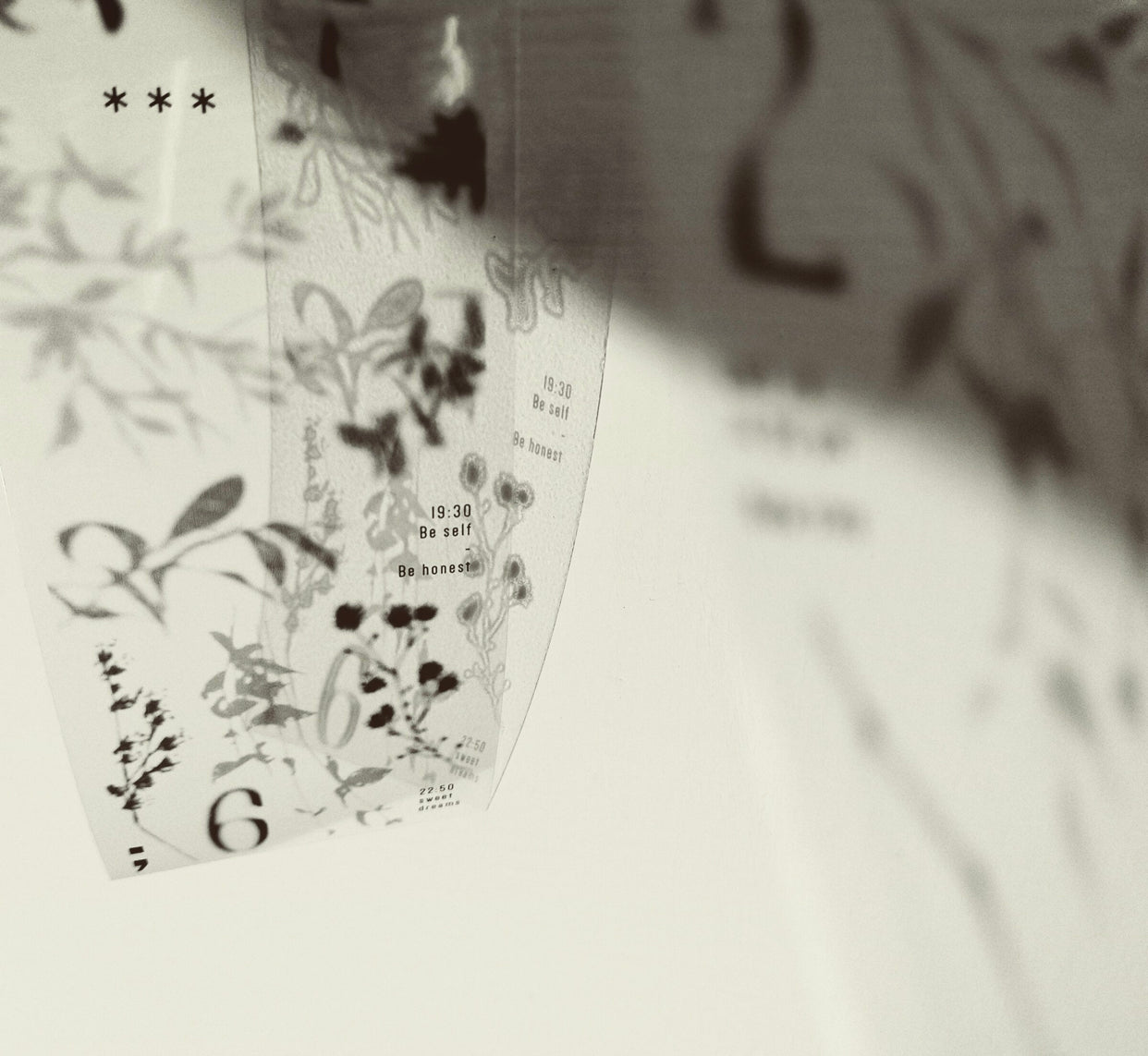 Siyun - Shadow Of Trees | 5cm PET Tape | Release Paper