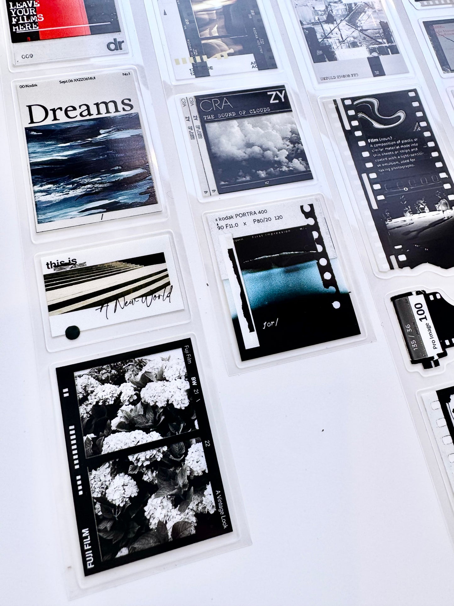 Two Raccoons - Silent Film Glow| 4cm Kiss-cut Tape | Release Paper | 5M