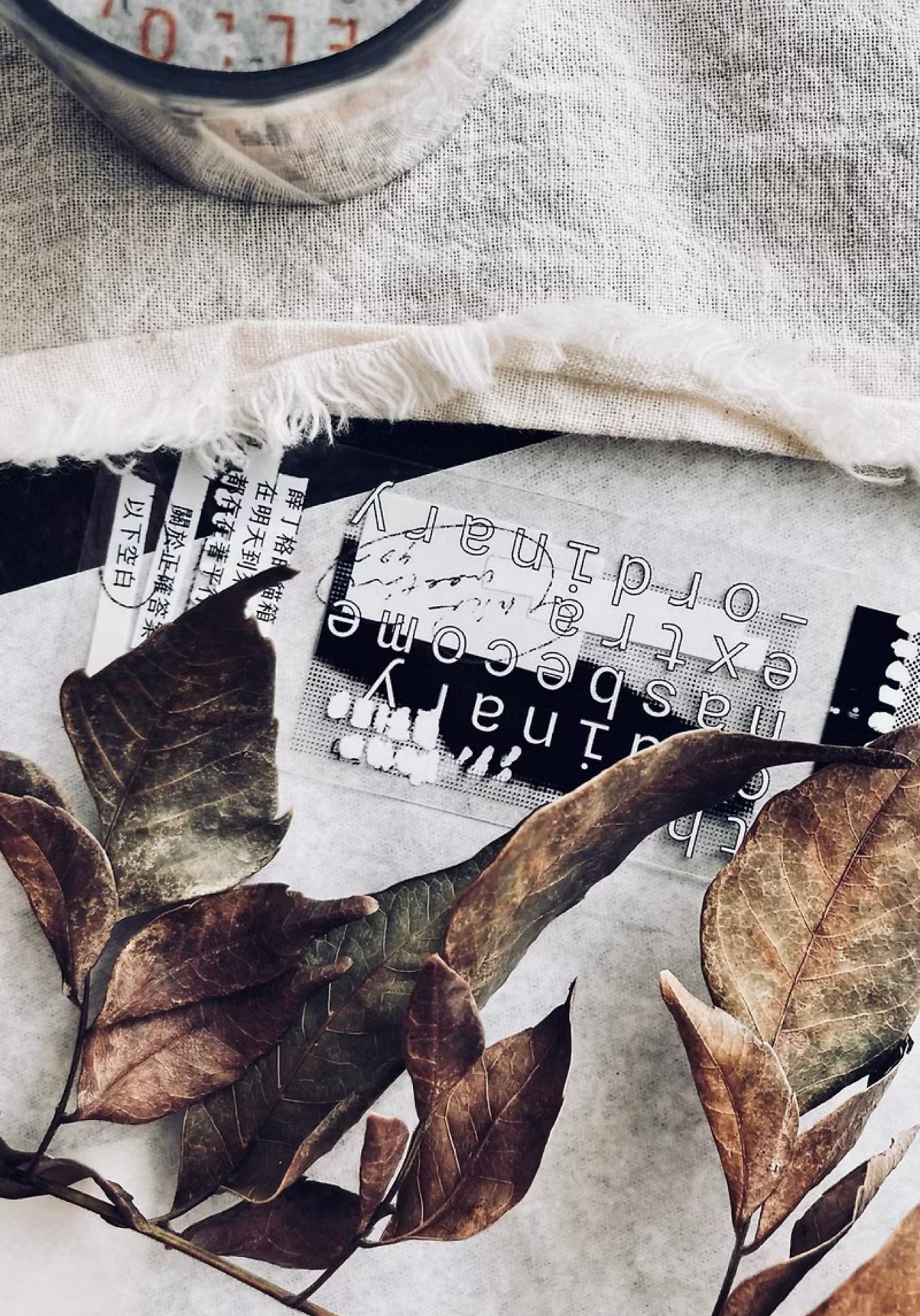 Somesortof.fern - Correction Tape | 3.5cm PET Tape | Release Paper