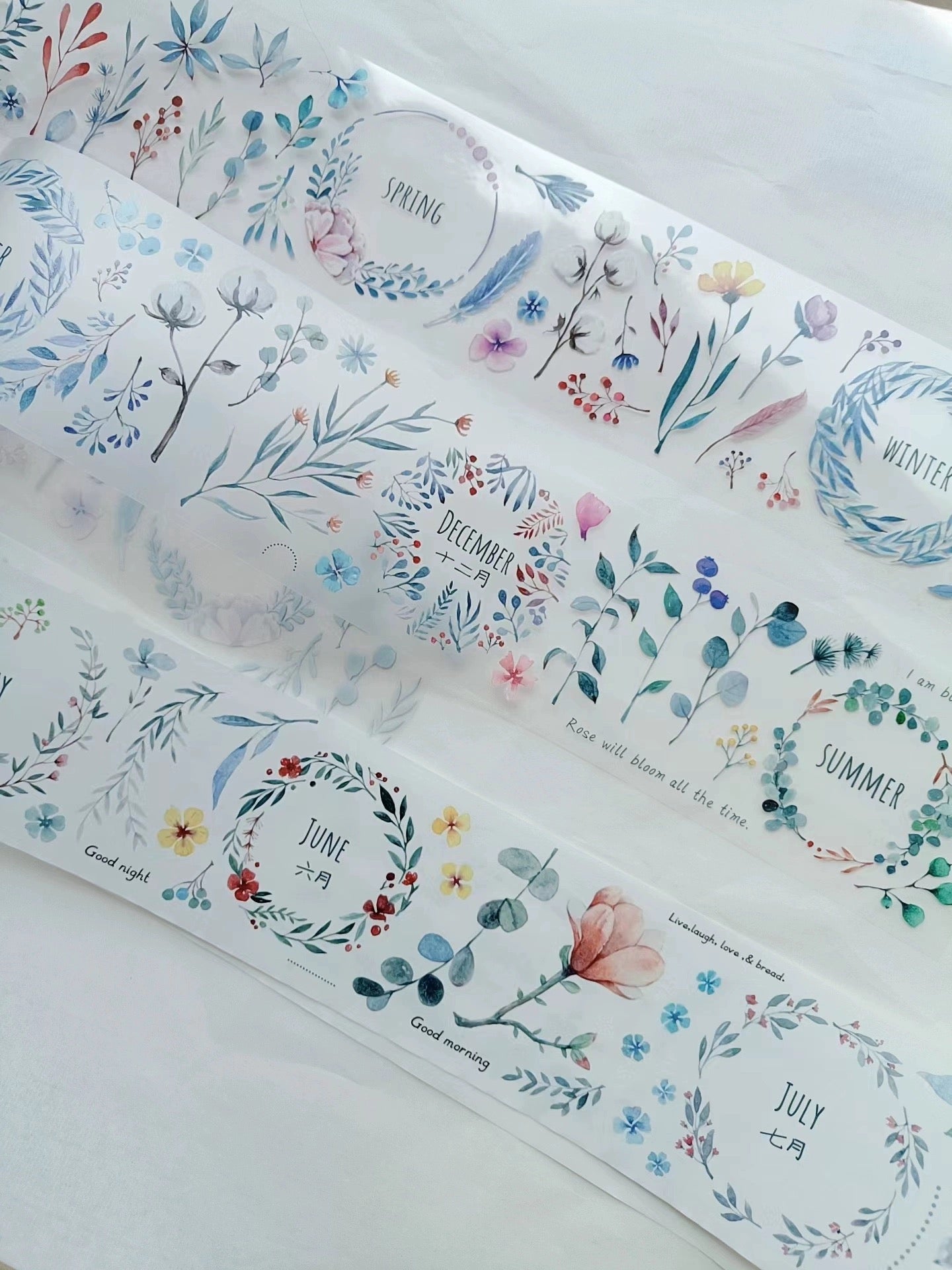 KAIXUN - Branches | 6cm PET Tape | Release Paper