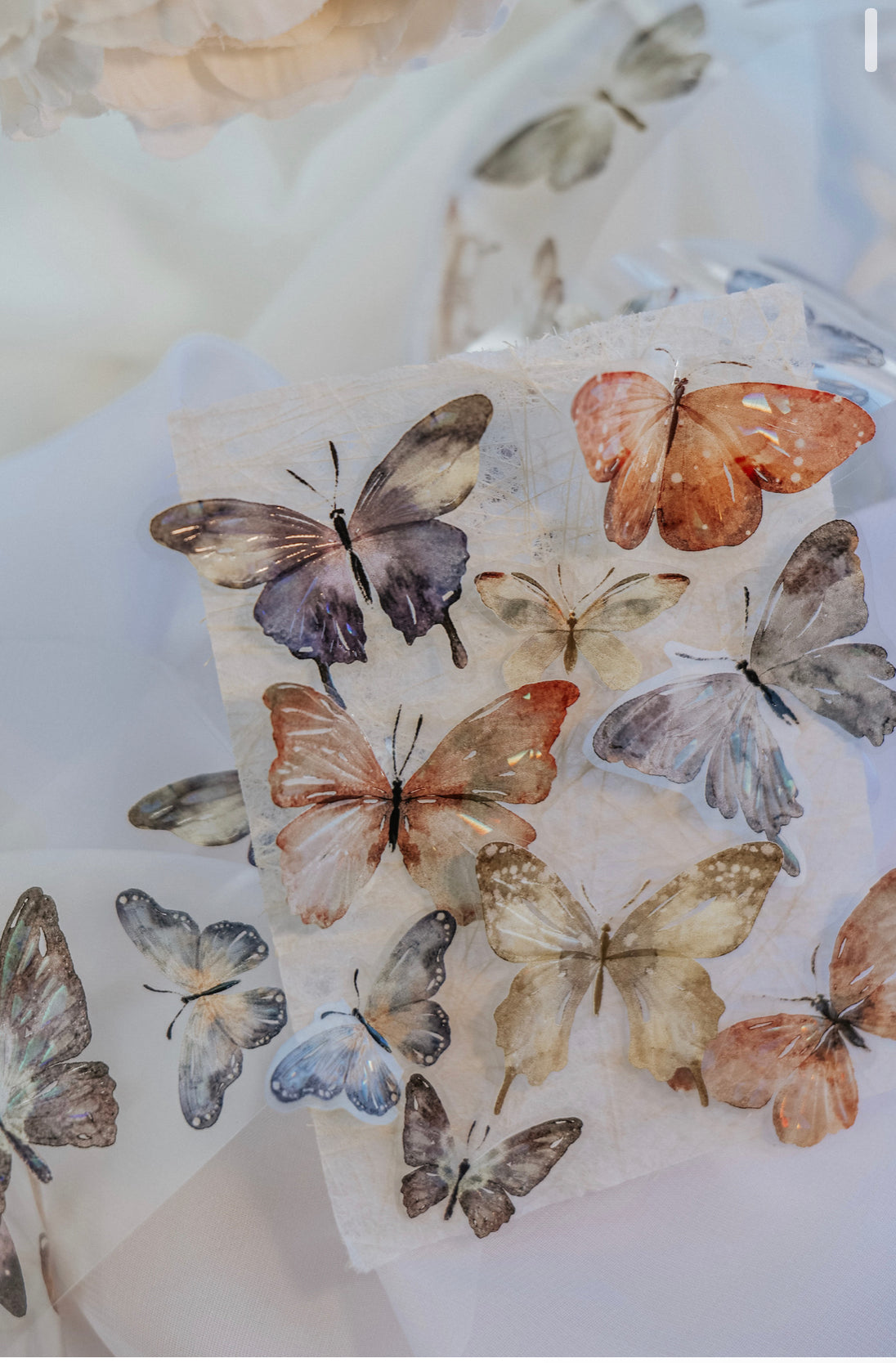 NEW Meow Illustration - Beautiful Butterfly | Iridescent PET Tape | Release Paper