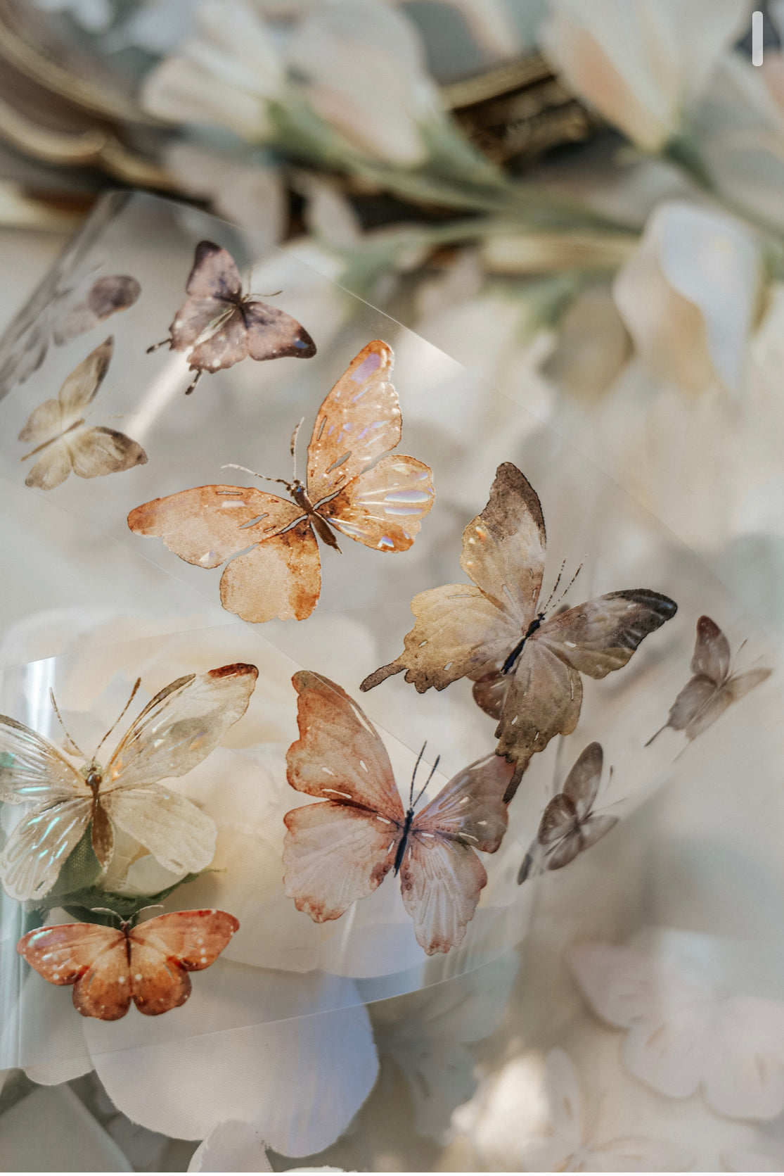NEW Meow Illustration - Beautiful Butterfly | Iridescent PET Tape | Release Paper