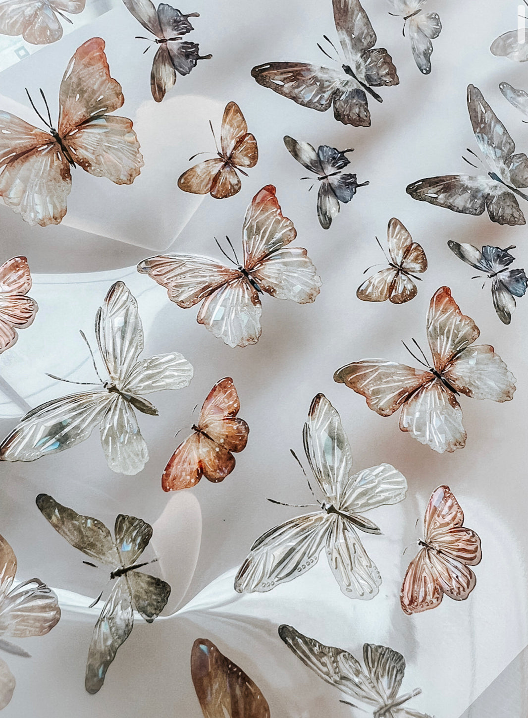 NEW Meow Illustration - Beautiful Butterfly | Iridescent PET Tape | Release Paper