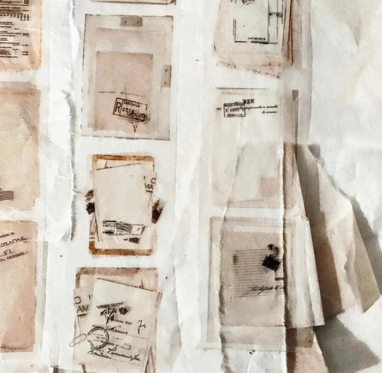 Suritrue - Archived | 5cm PET Tape | Release Paper