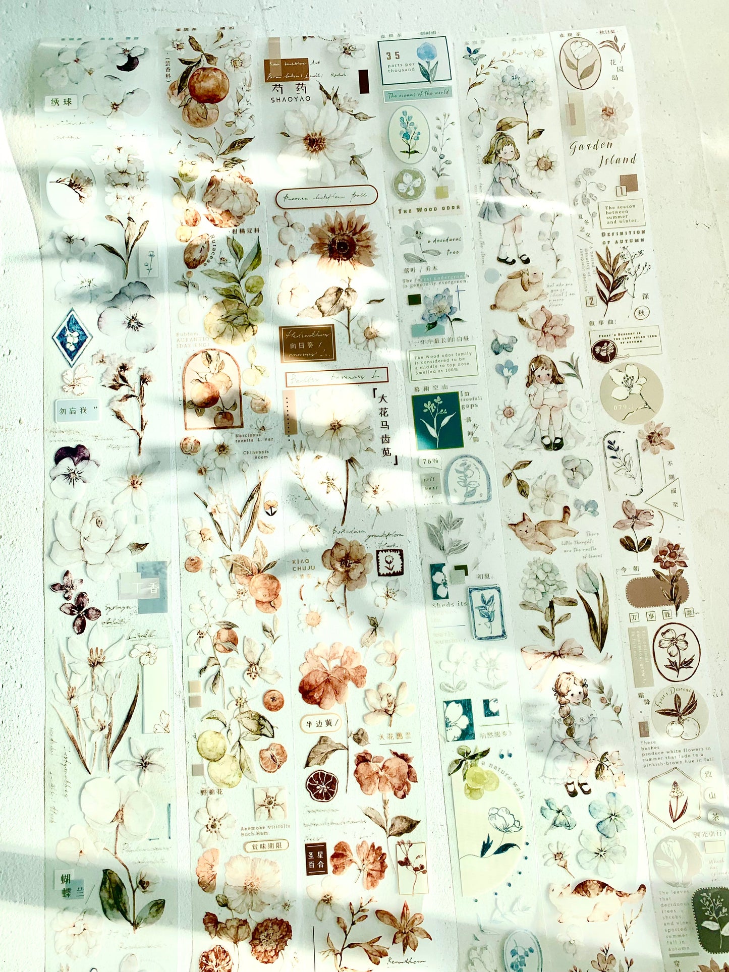 Freckles Tea Vol.3 - Misty Blue | 6cm PET Tape | Release Paper