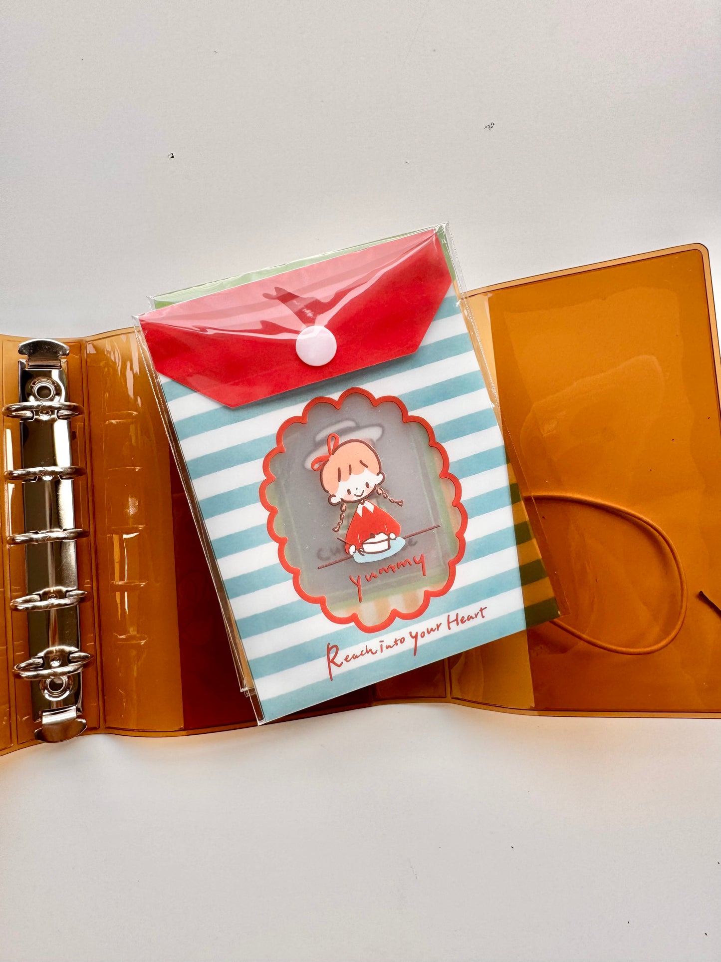 NEW! Molinta - Mini Pouch | M5 Size | Polaroid Storage | Journaling Accessories