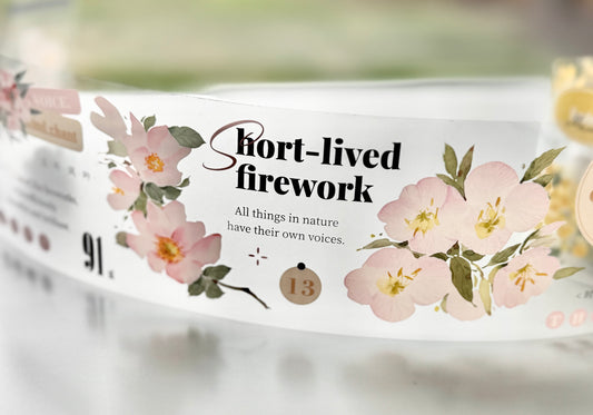 NEW! Xiyue Studio - Spring | 6.5cm PET Tape | Release Paper | 6.1M