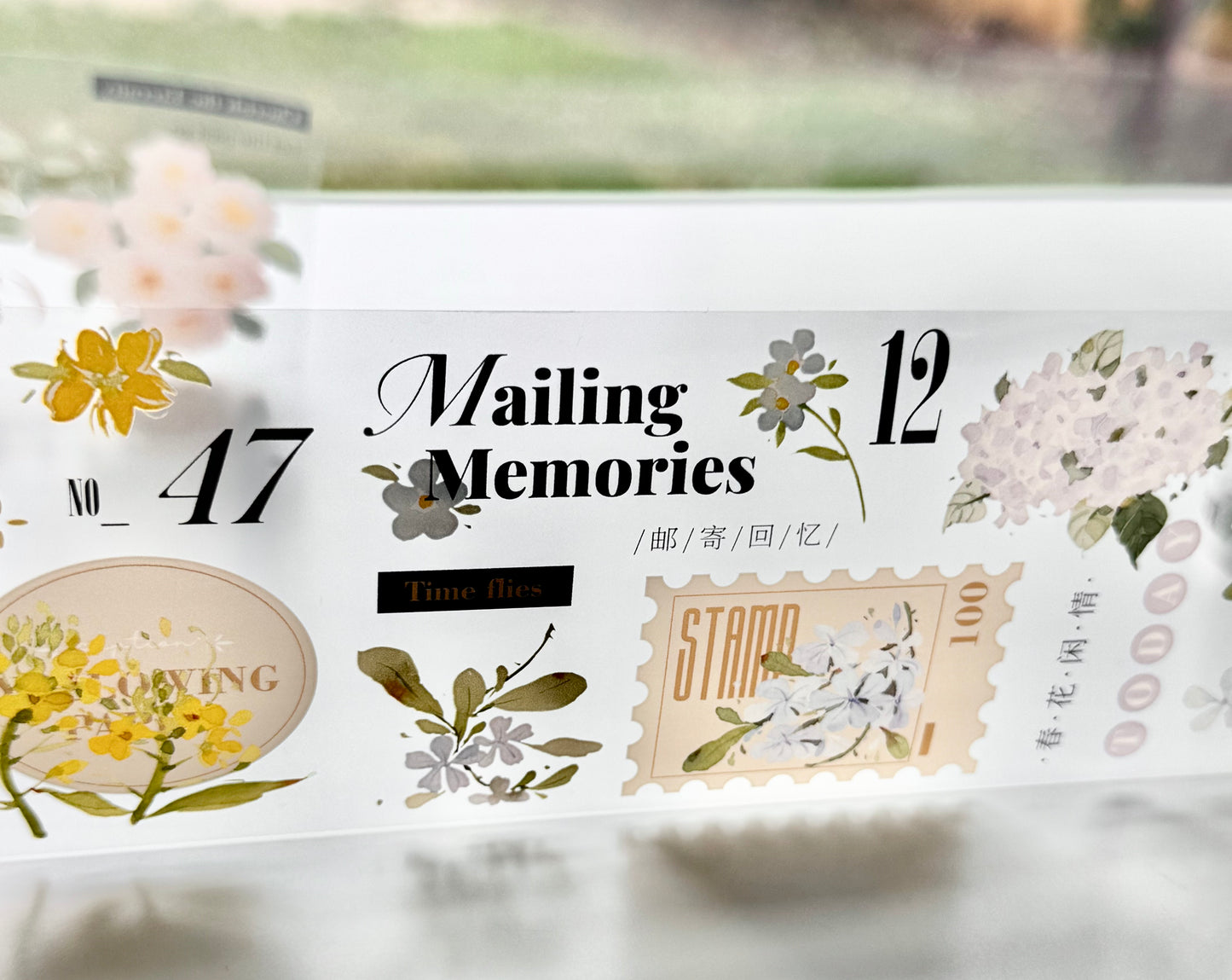 NEW! Xiyue Studio - Spring | 6.5cm PET Tape | Release Paper | 6.1M