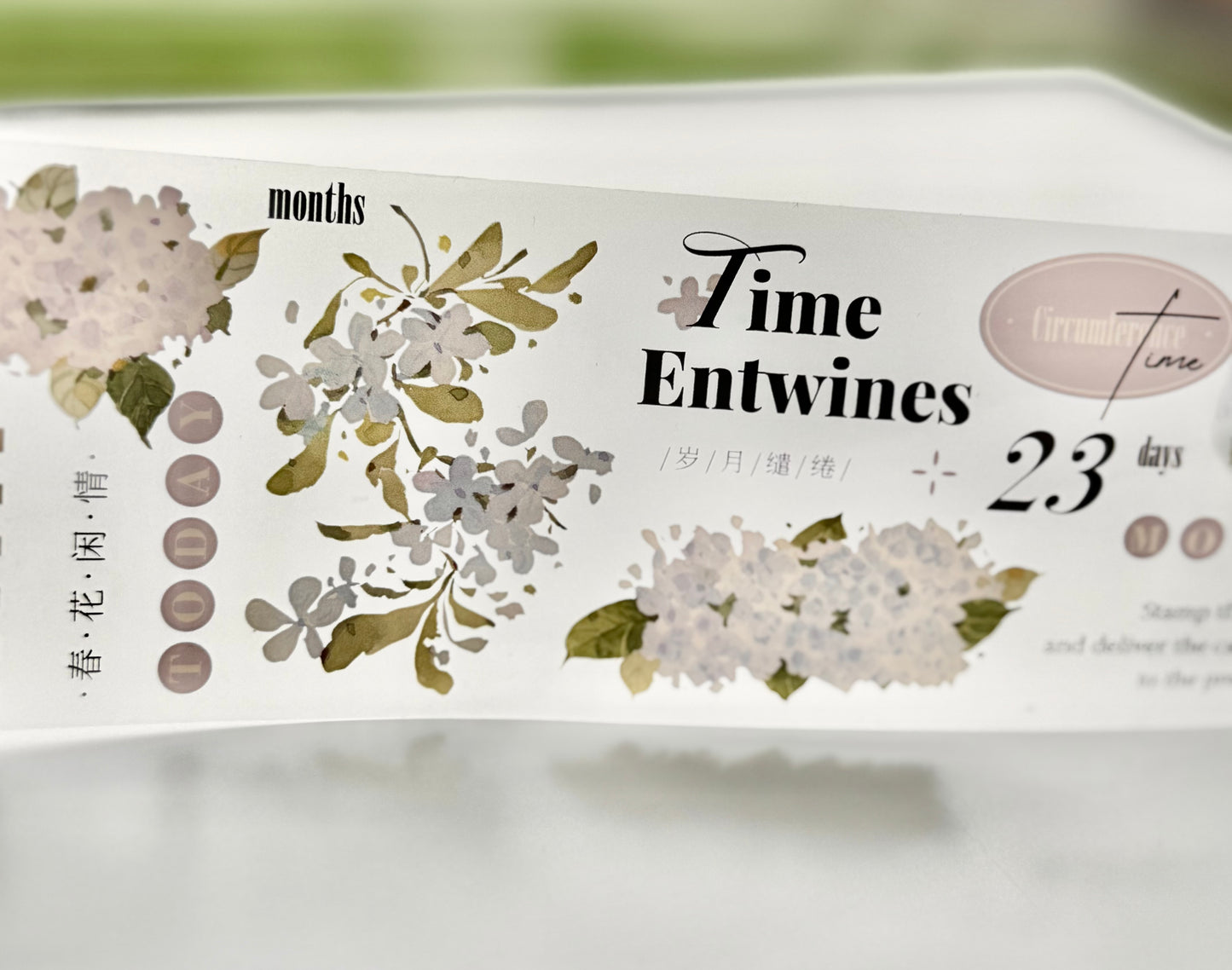 NEW! Xiyue Studio - Spring | 6.5cm PET Tape | Release Paper | 6.1M