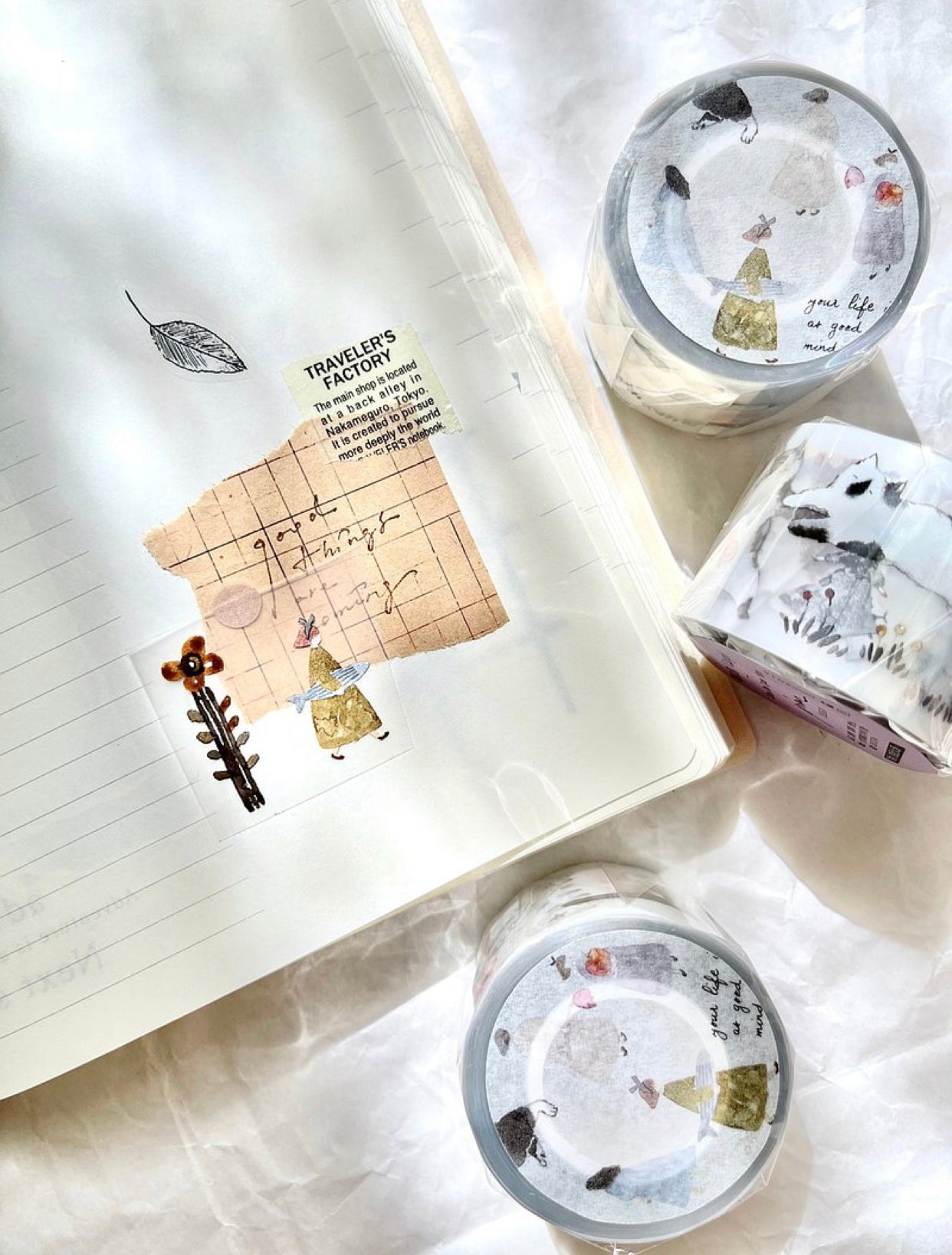 Pion - Cat Girl | 3.5cm PET Tape | Release Paper