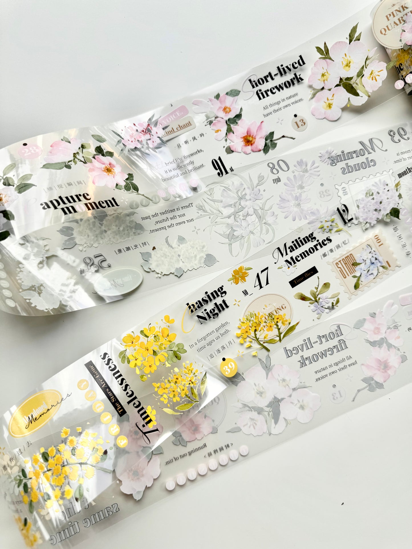 NEW! Xiyue Studio - Spring | 6.5cm PET Tape | Release Paper | 6.1M