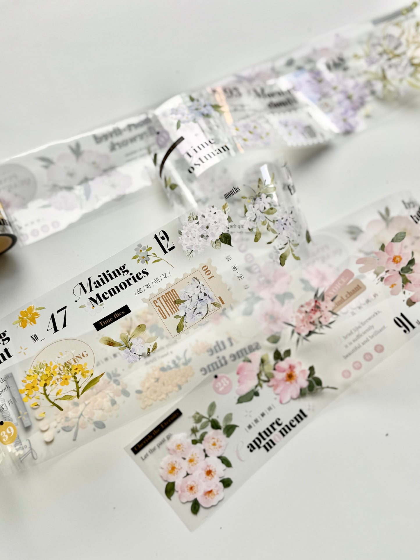 NEW! Xiyue Studio - Spring | 6.5cm PET Tape | Release Paper | 6.1M