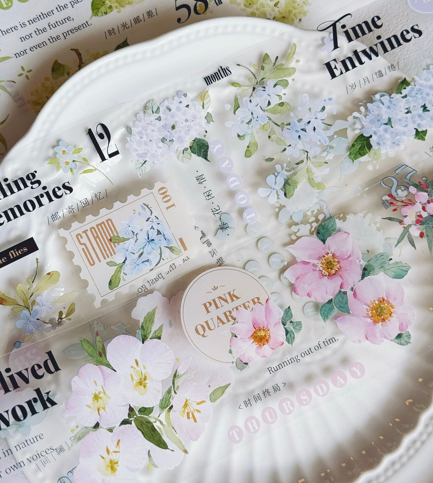 NEW! Xiyue Studio - Spring | 6.5cm PET Tape | Release Paper | 6.1M