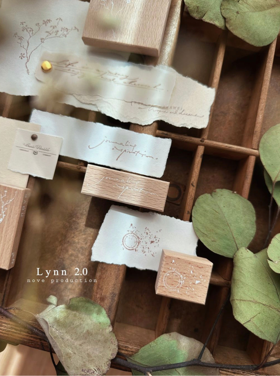 NEW! Nove - Lynn2.0 | 5 Rubber Stamp Set