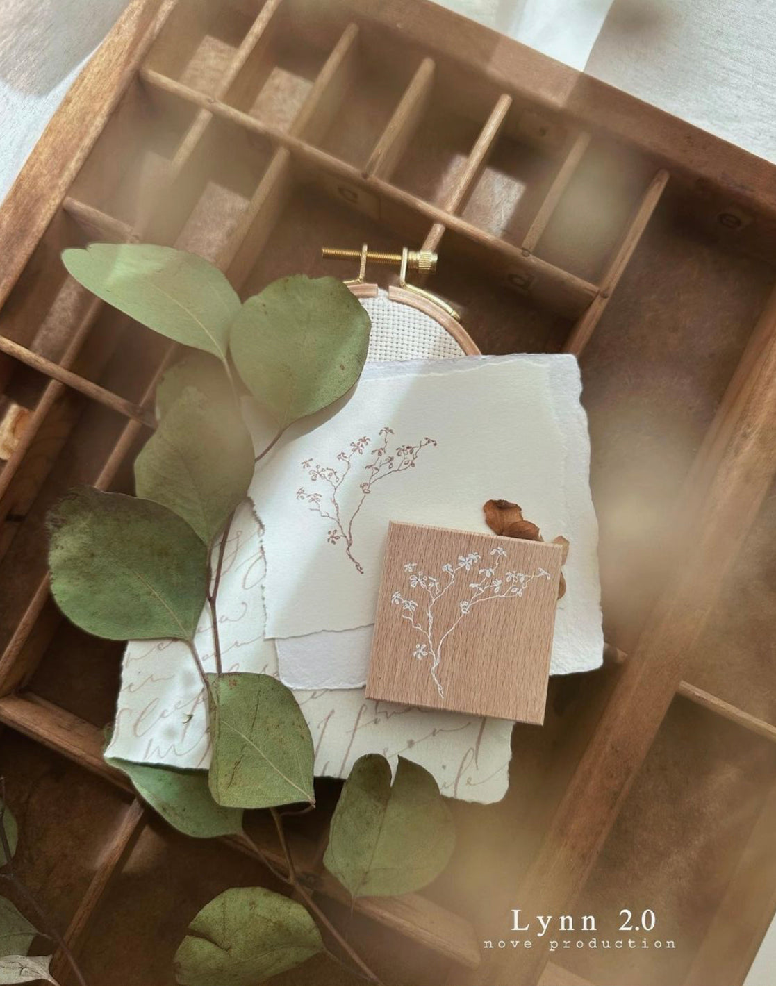 NEW! Nove - Lynn2.0 | 5 Rubber Stamp Set
