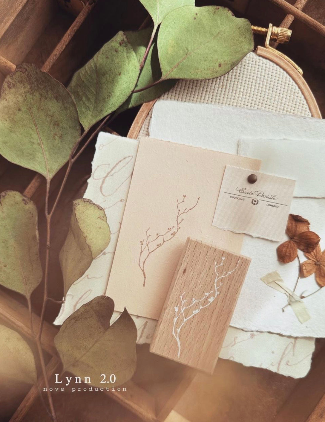 NEW! Nove - Lynn2.0 | 5 Rubber Stamp Set