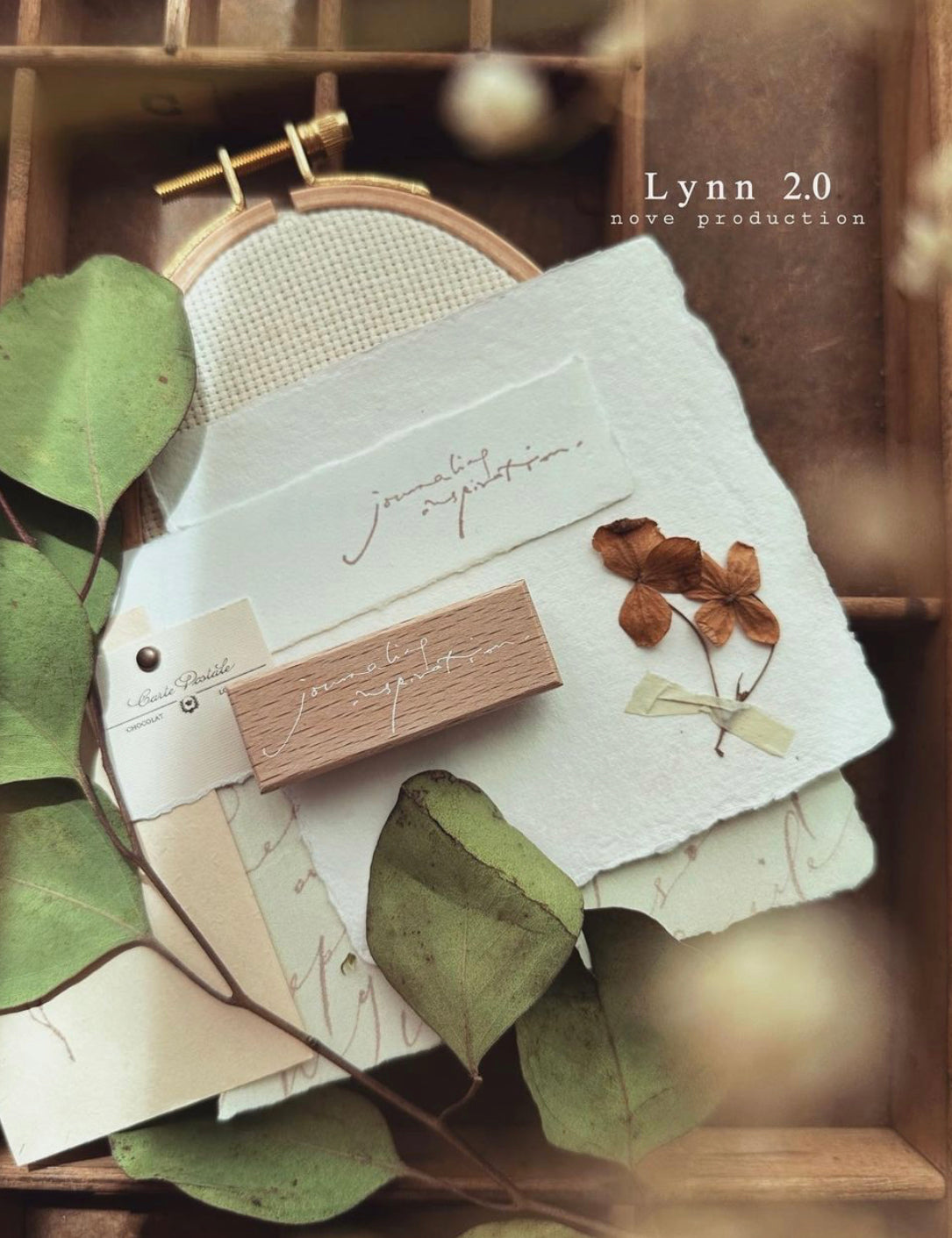 NEW! Nove - Lynn2.0 | 5 Rubber Stamp Set