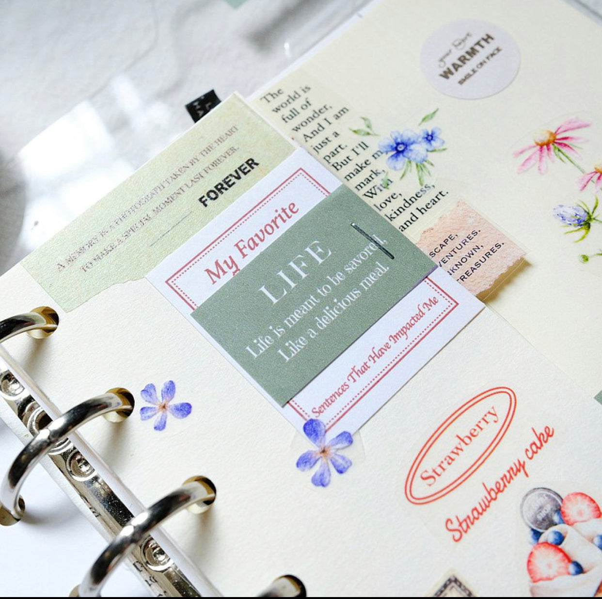 NEW! Sonia - Daily Plan | 3.5cm Paper Tape | Release Paper