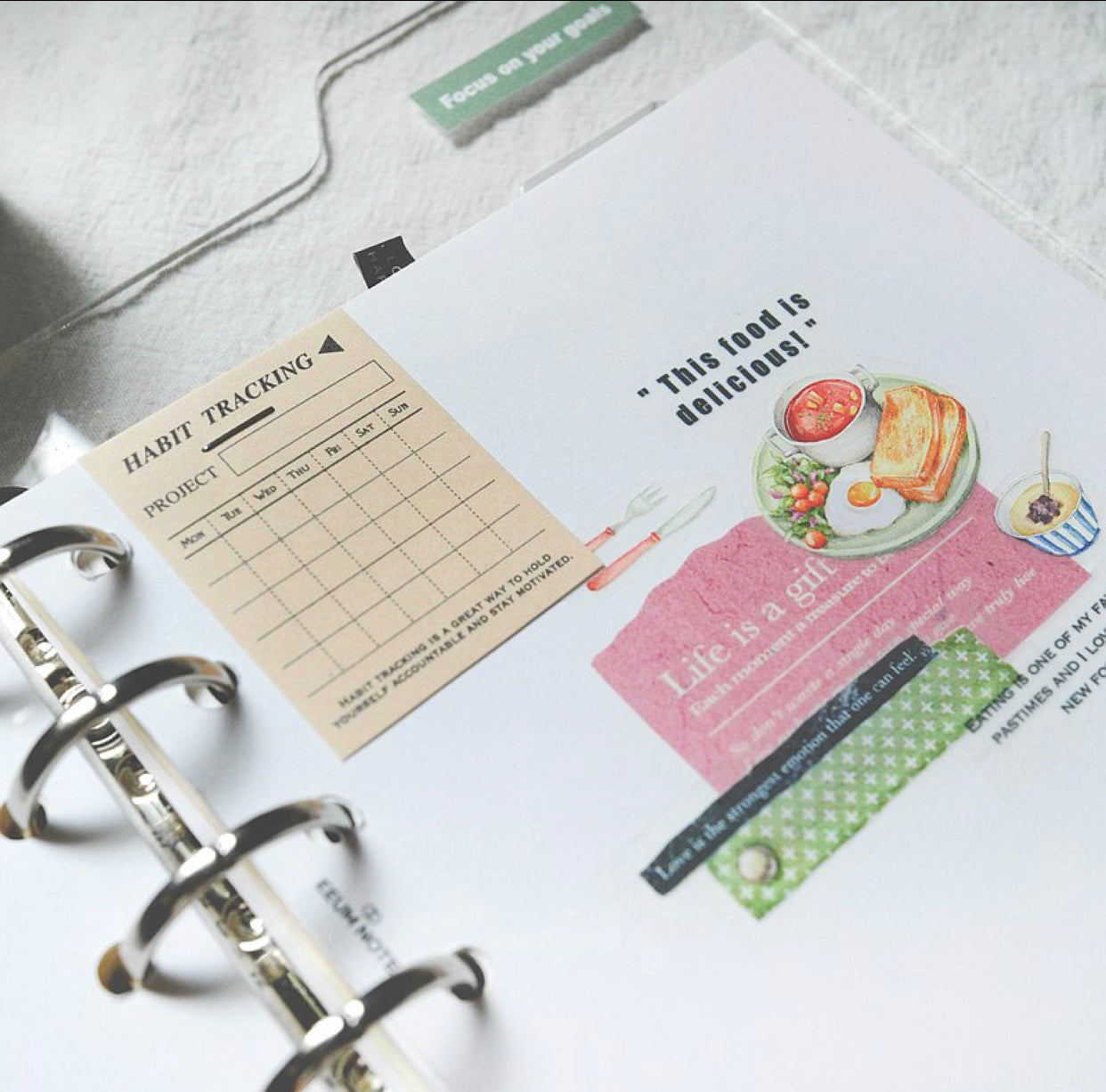 NEW! Sonia - Daily Plan | 3.5cm Paper Tape | Release Paper