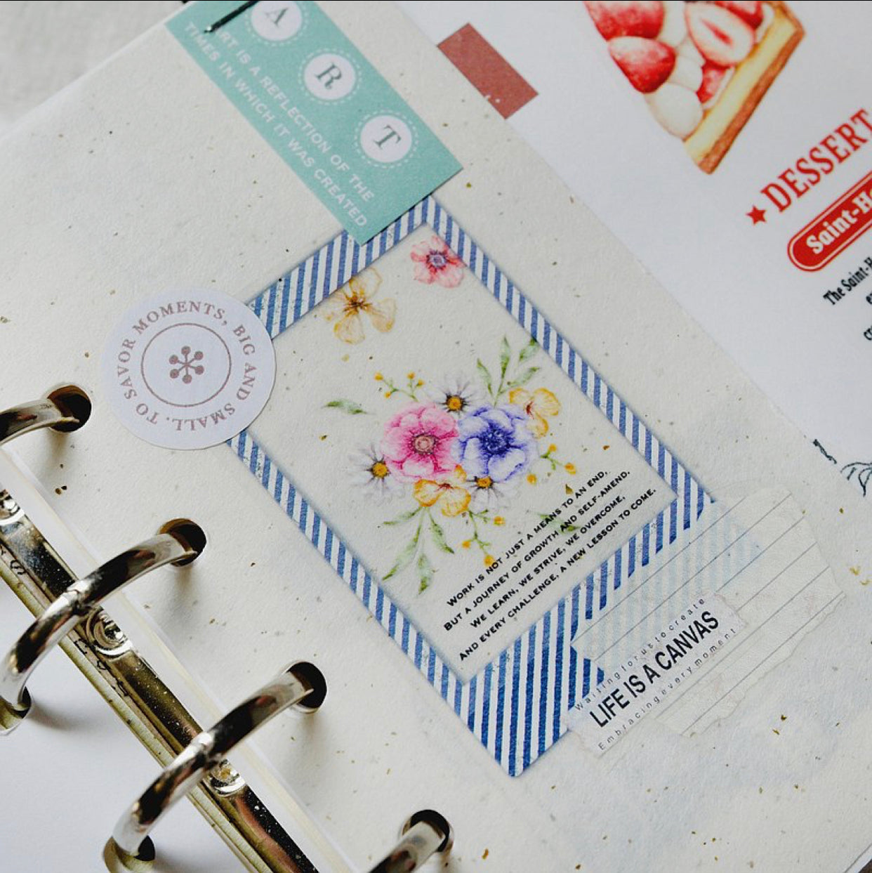 NEW! Sonia - Polaroid | 4cm PET Tape | Release Paper