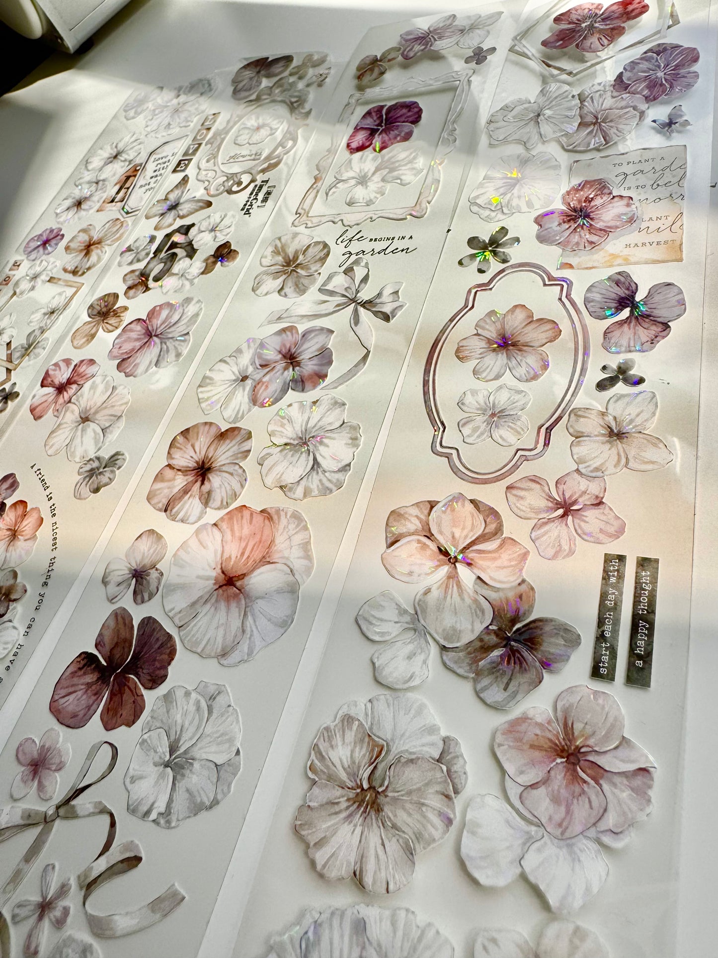 NEW! Time Grid - Mist Bloom | 6cm Iridescent PET Tape | Release Paper