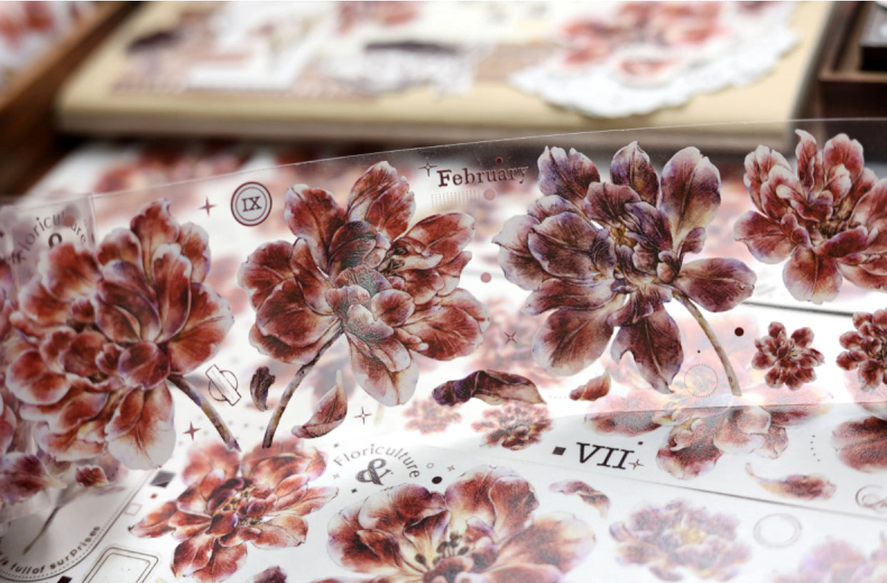 XBJia Studio - Tulip | 5.5cm PET Tape | Release Paper | 6M