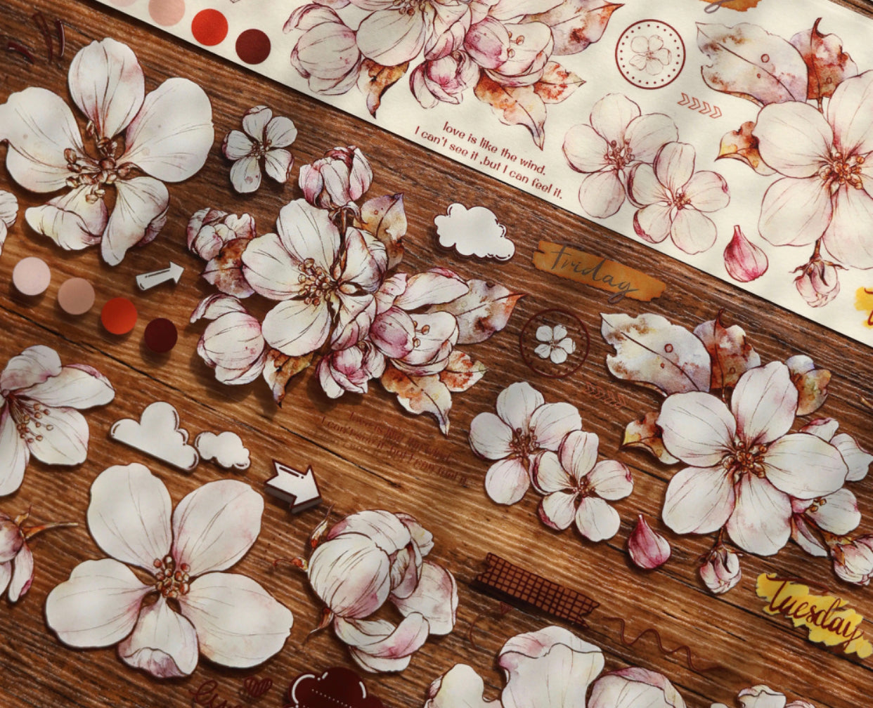 XBJia Studio - Begonia | 5.5cm PET Tape | Release Paper | 6M