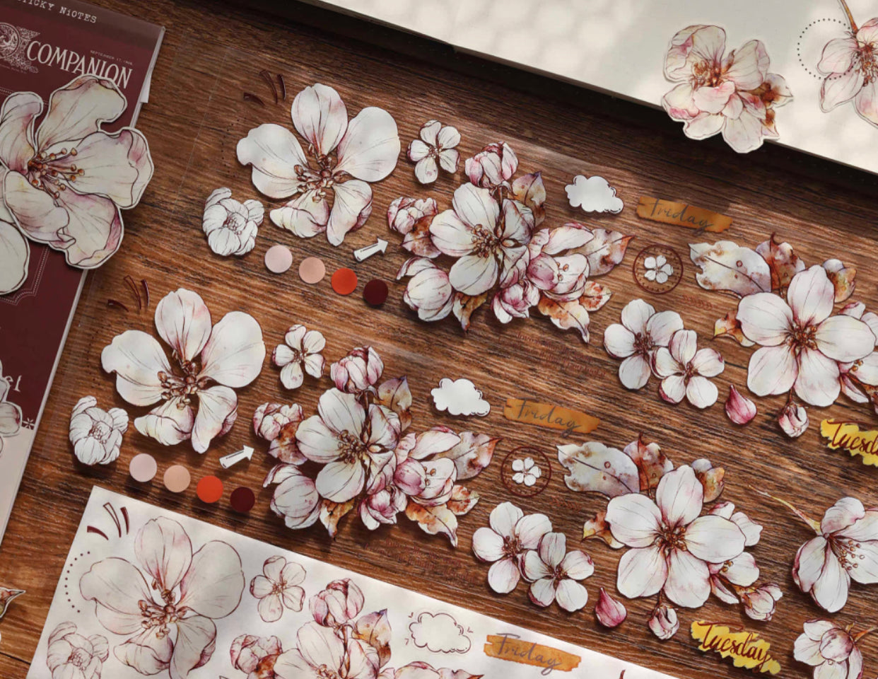 XBJia Studio - Begonia | 5.5cm PET Tape | Release Paper | 6M