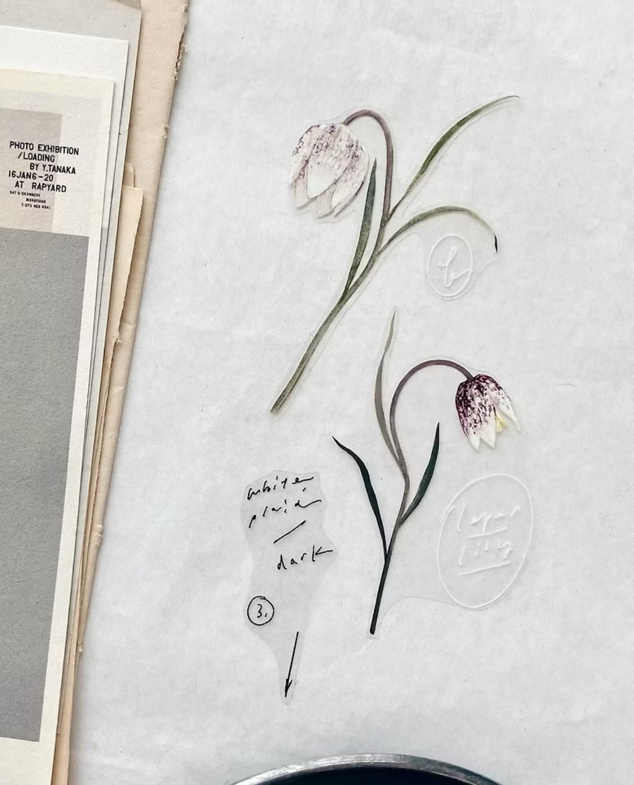 NEW! Somesortof.fern - Fritillary Flower | 5cm PET Tape | Release Paper