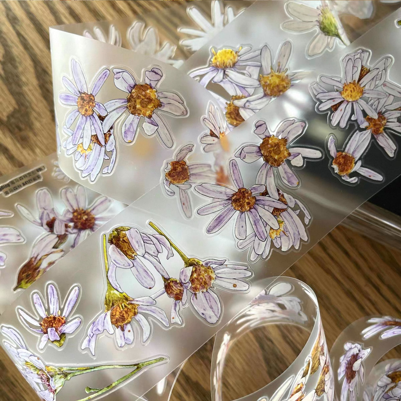 NEW! DingDing - A41 Wild Purple Daisy | Kiss-cut | 5cm PET Tape | Release Paper | 5M