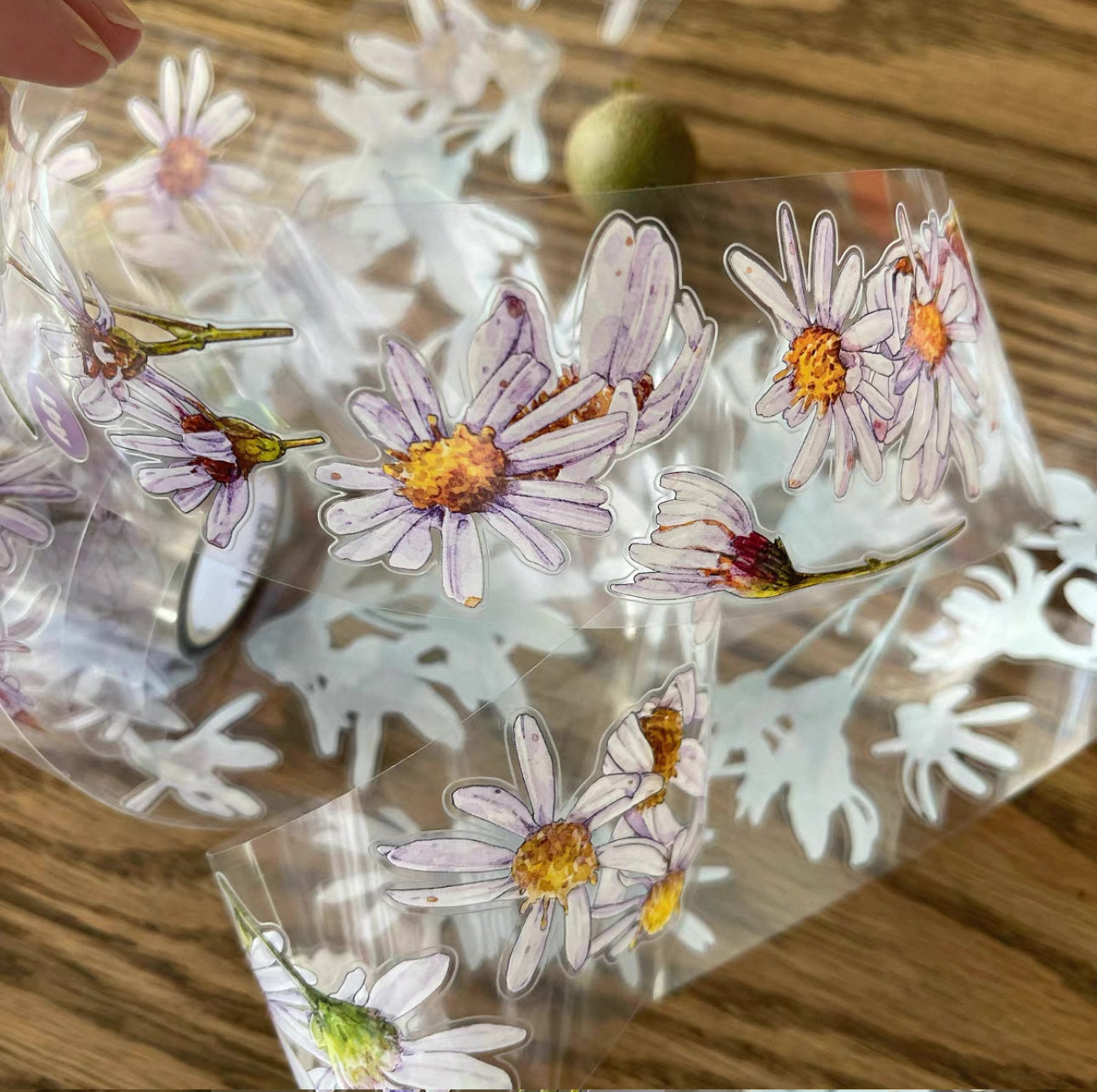 NEW! DingDing - A41 Wild Purple Daisy | Kiss-cut | 5cm PET Tape | Release Paper | 5M