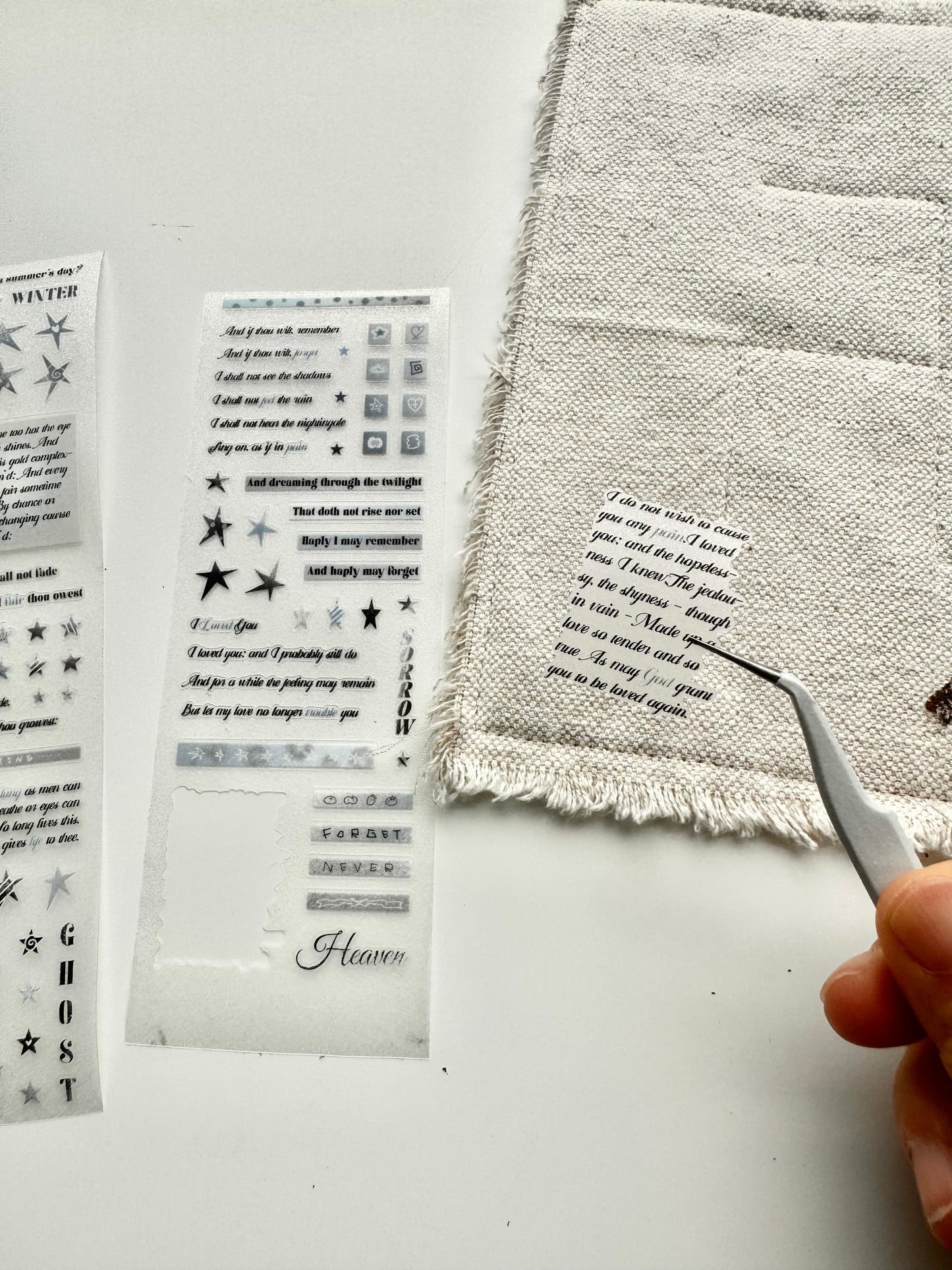 NEW! Paper Moss - Text-blue | 6cm Kiss-cut Glitter PET Tape |  Release Paper | 5.25M