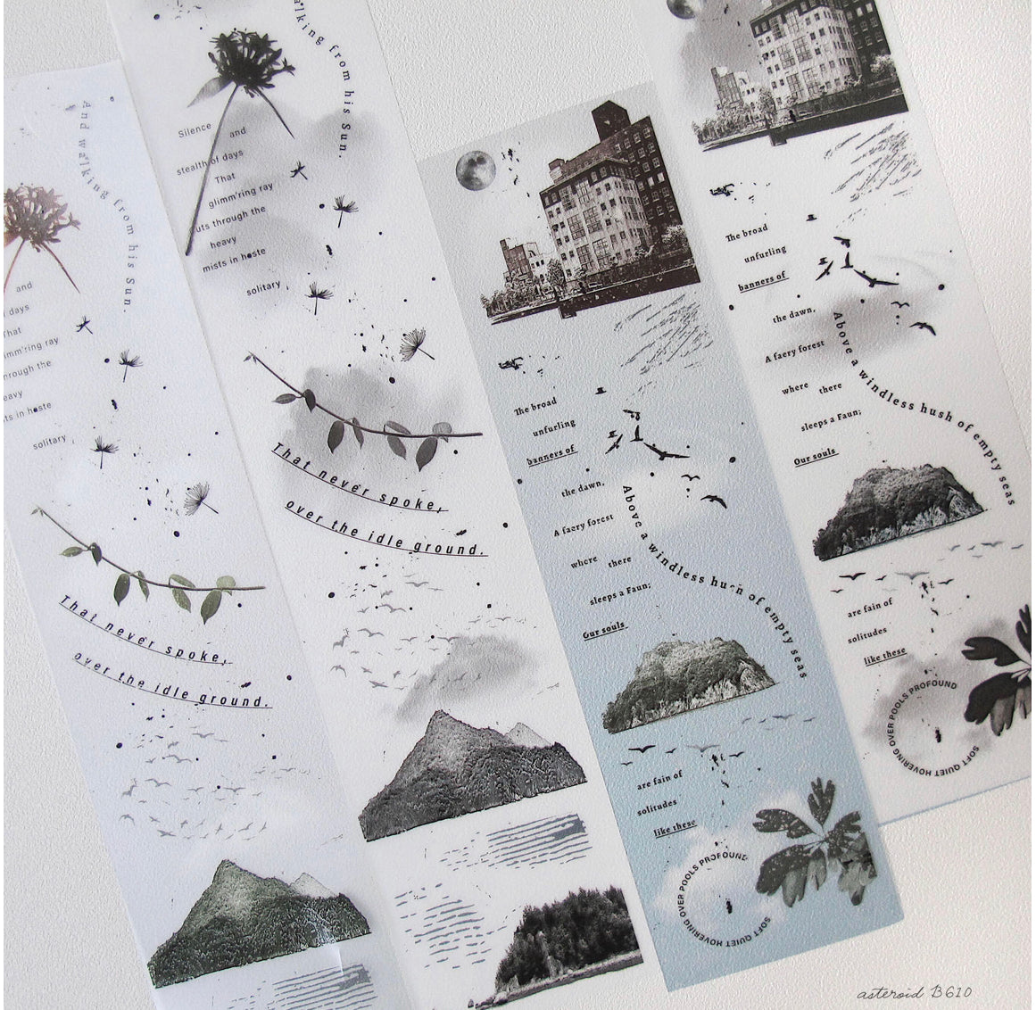 Asteroid B-610 - Scenery | 5cm Matte PET | Release Paper