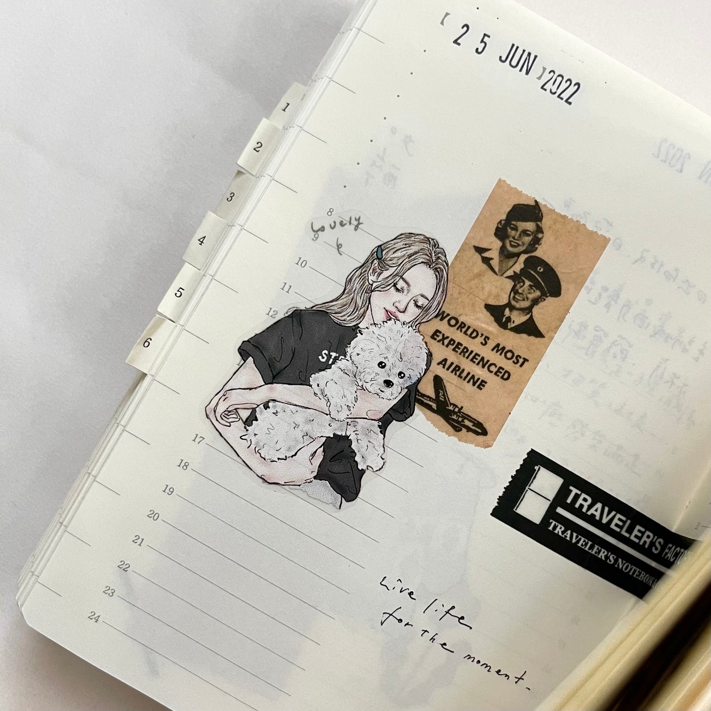 Pion - no.16 | 4cm PET Tape | Release Paper