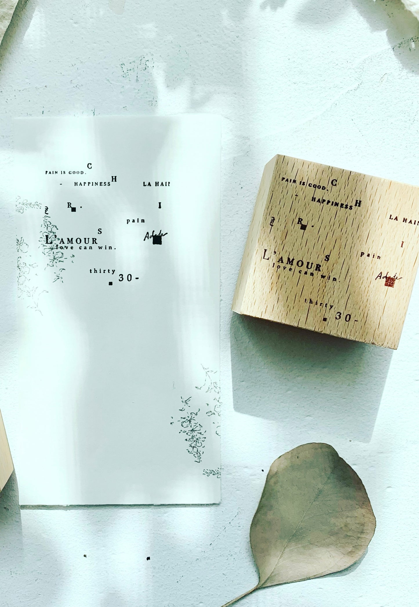 Two Raccoons - Love & Pain | Rubber Stamps