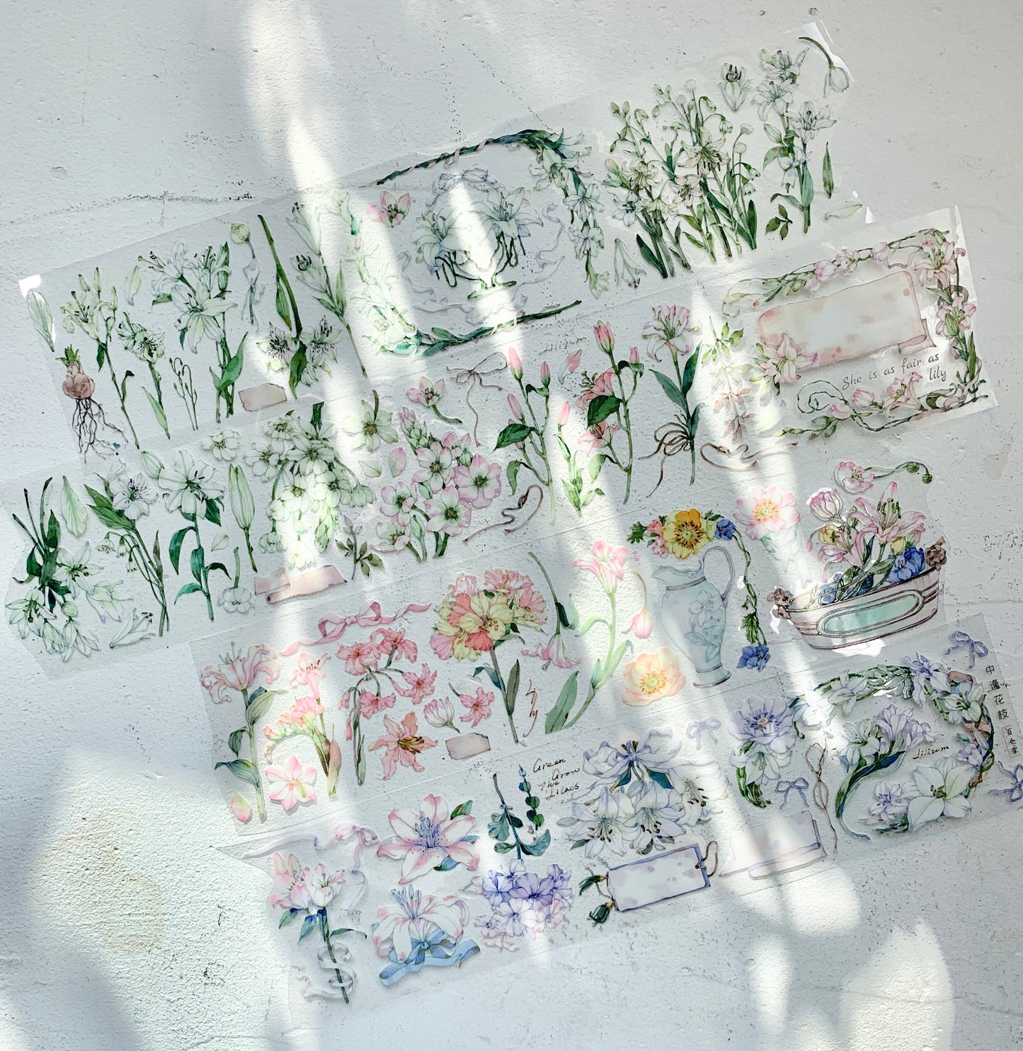 Baicangjia - Lilium Branch | 6cm Crystal PET Tape | Release Paper