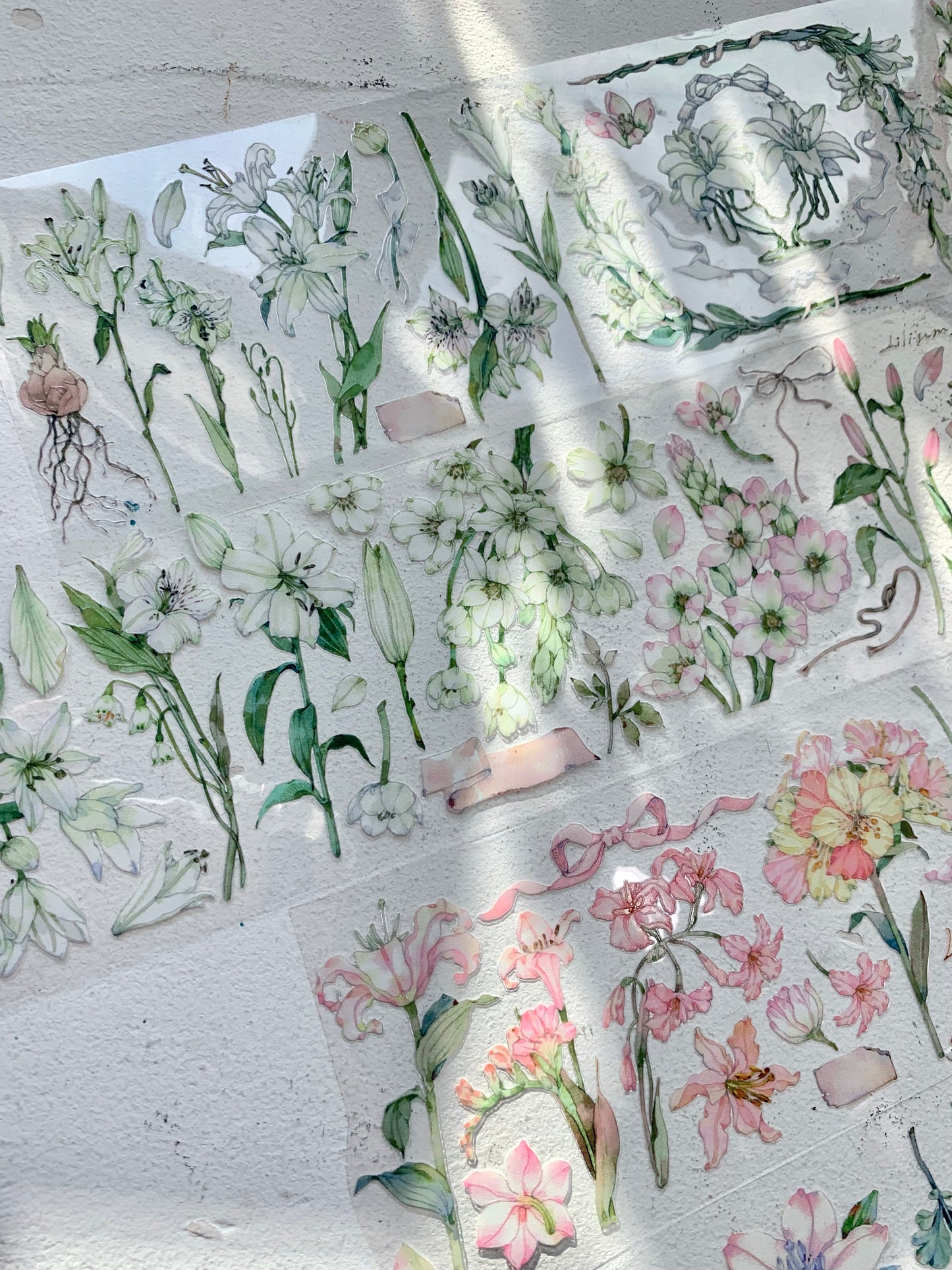 Baicangjia - Lilium Branch | 6cm Crystal PET Tape | Release Paper